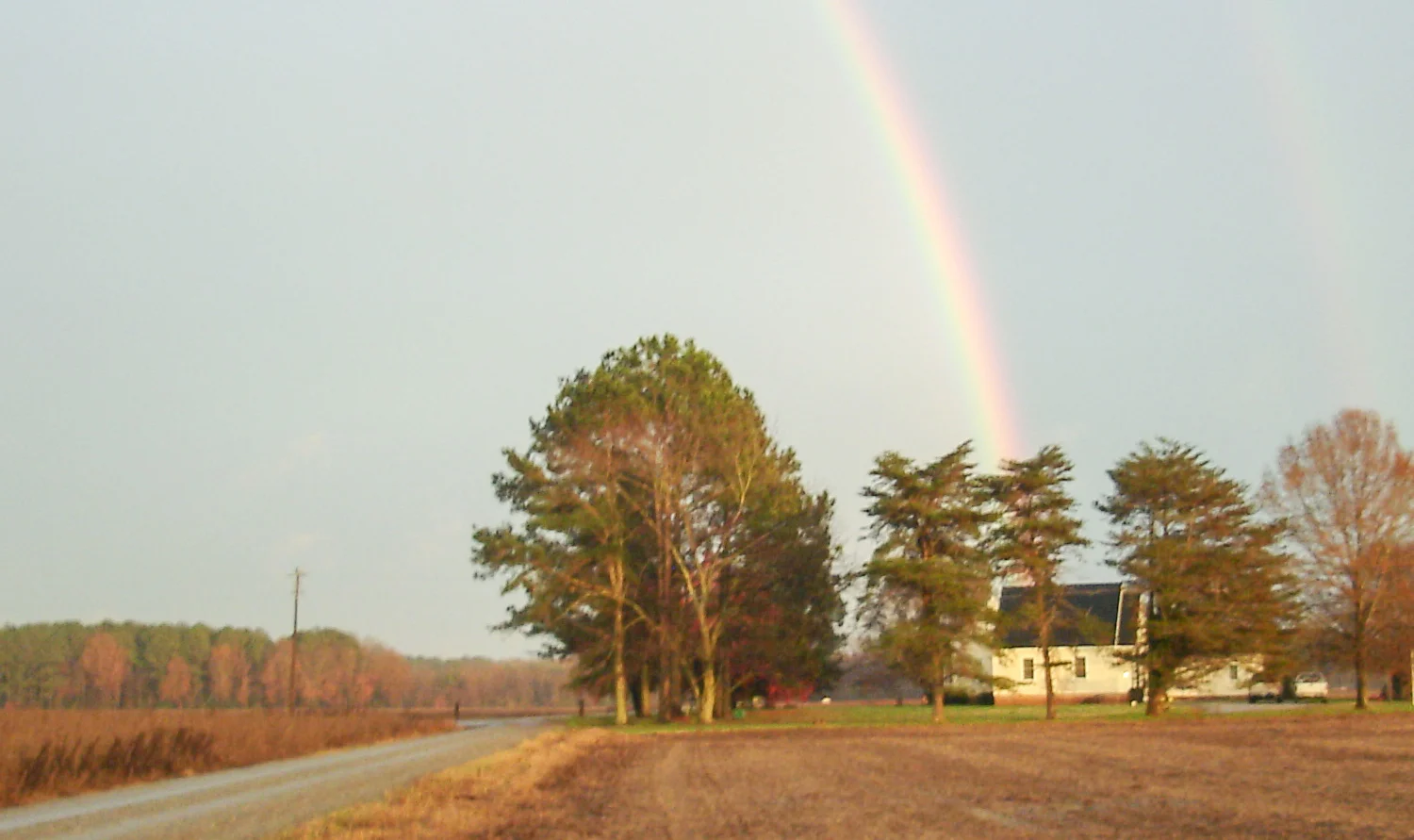 rainbow 1.jpg