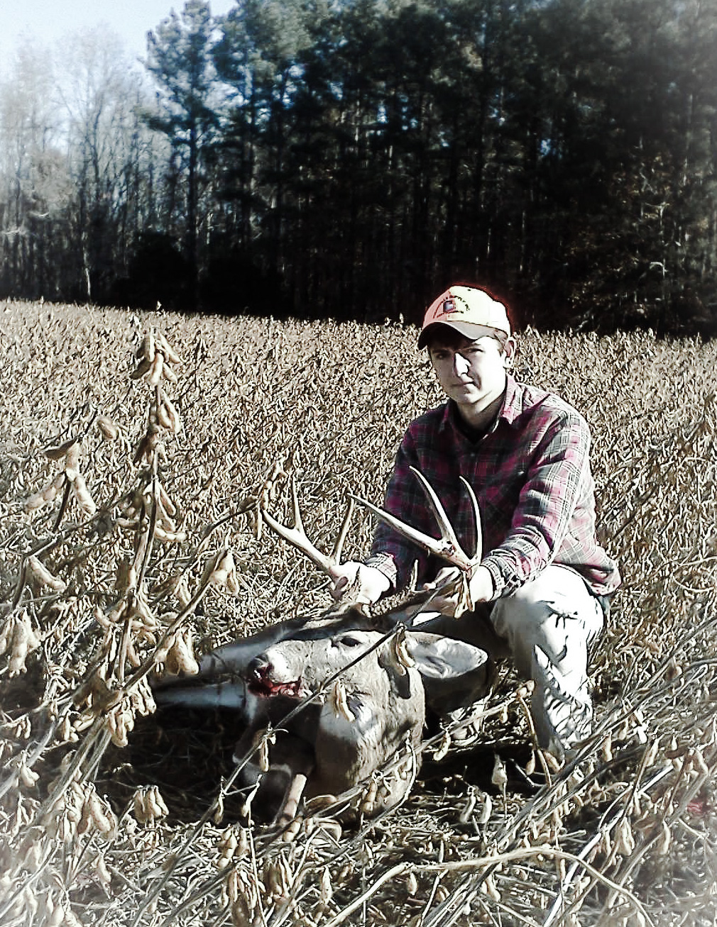 ben+soybean+deer.jpg