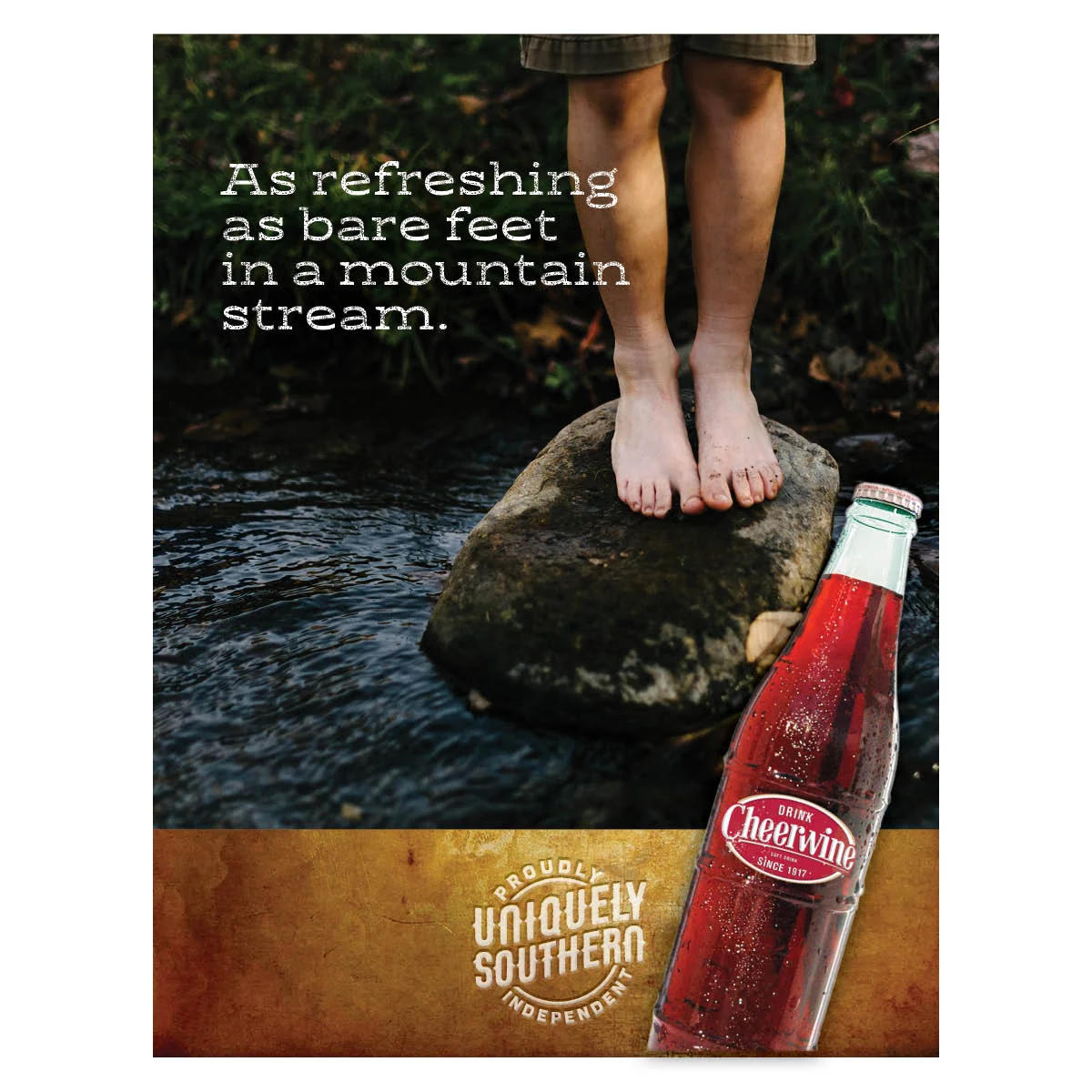 Sowinski_Campaign_Cheerwine_ad_2.jpg