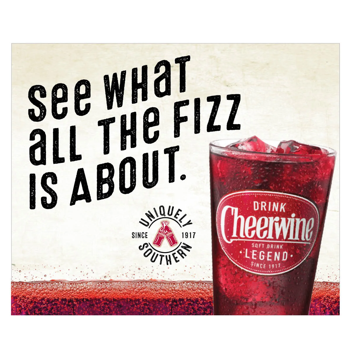 Sowinski_Campaign_Cheerwine_ad_4.jpg