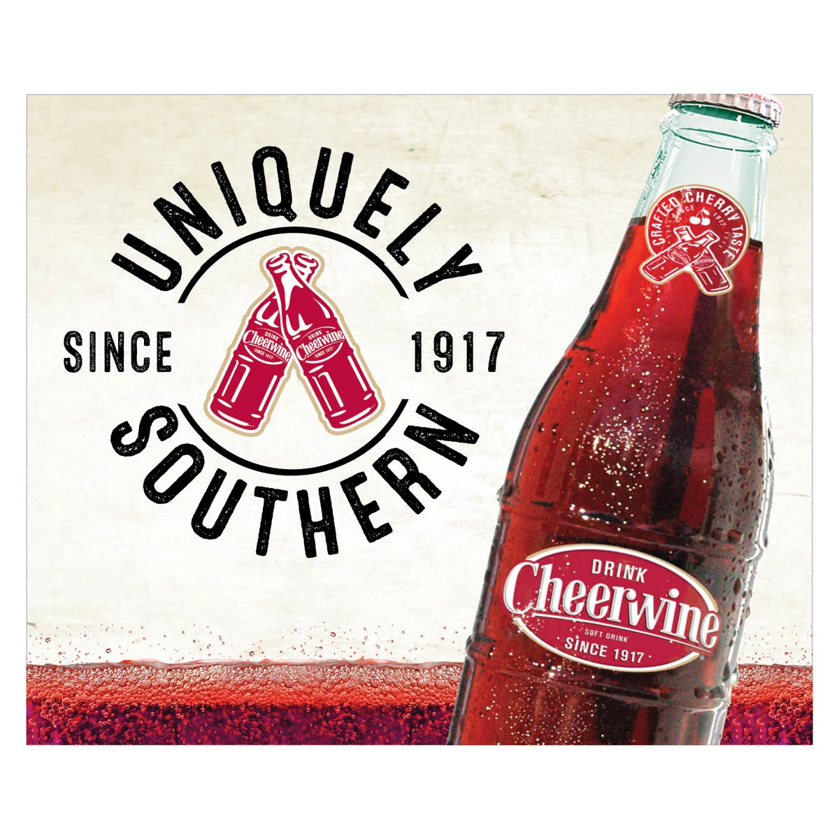 Sowinski_Campaign_Cheerwine_ad_6.jpg