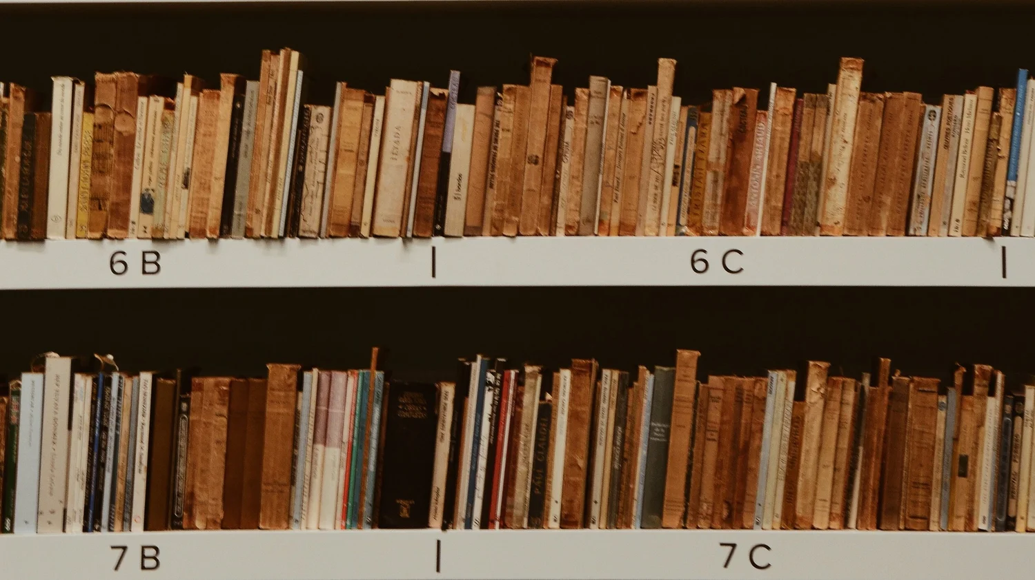 Episode 17 - An Interview with Lee Trepanier