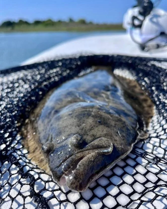 Thanks Hanna for the great photo!
Don’t forget to send us photos of your flat fish!!
#tidelinemarine #fishing #powerpole #jacksonvillenc #onslowcounty #onsale #havefun #veteranowned #boatinglife #fishinglife #instocknow #IGY6 #shoplocal #east