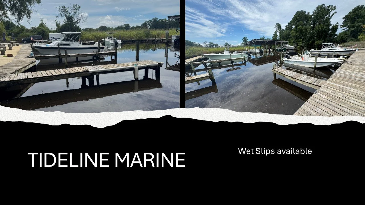 #inshore and #offshore tackle on sale 20% off Oct 2025, Keyword FALL!!
Come check us out at #tidelinemarine in #jacksonvillenc for all of your #boating #fishing #tackle #bait, and #saltlife needs. www.tidelinemarine.com #onslowcounty