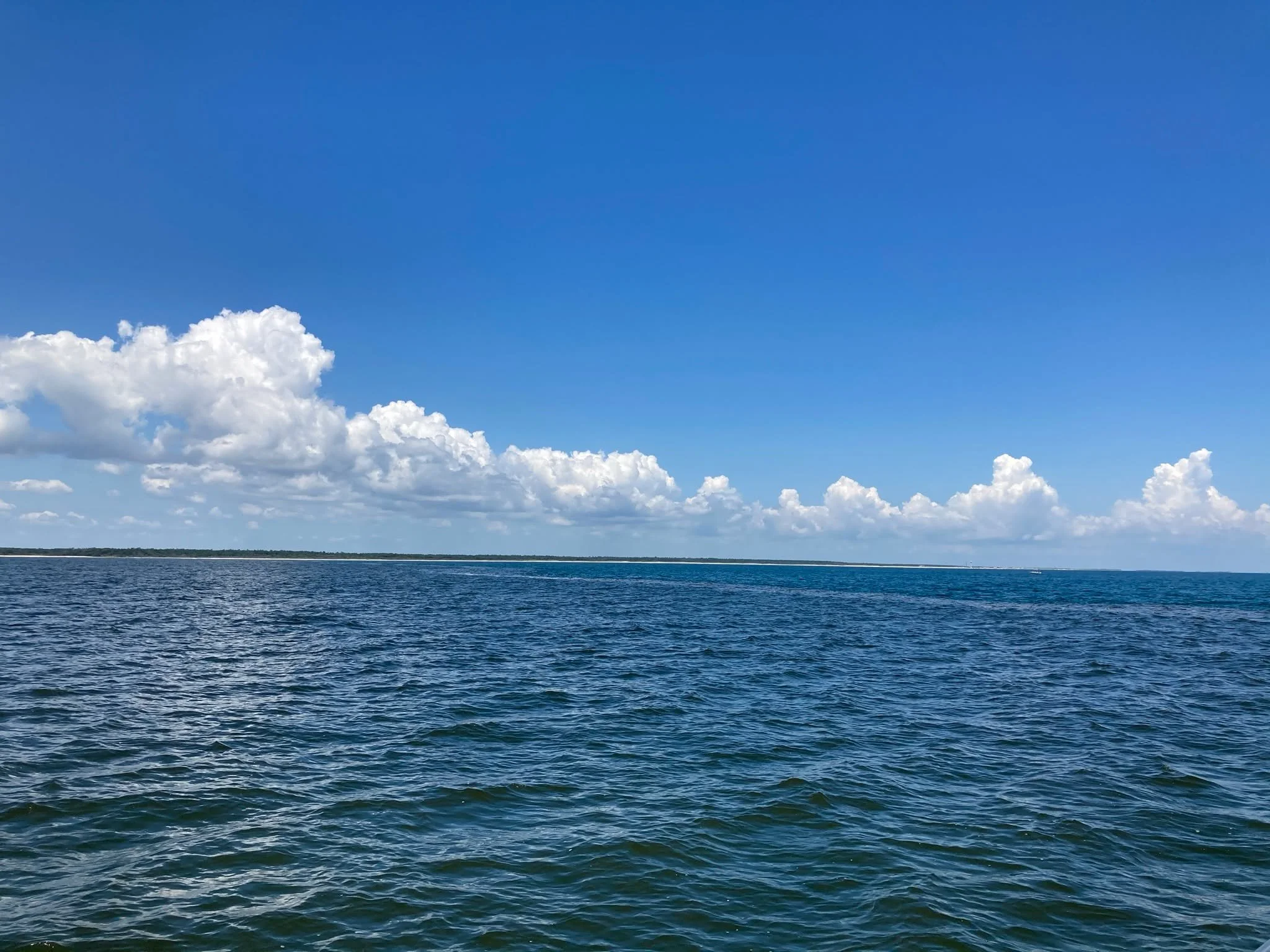 Throwback Photo Time!
STORE CLOSING SALE
40% off storewide-unless otherwise marked!
Open Tues-Sat
www.tidelinemarine.com
Come check us out for all your #boating #fishing #bait #tackle needs in #jacksonvillenc #onslowcountync #veteranowned #tidelinema