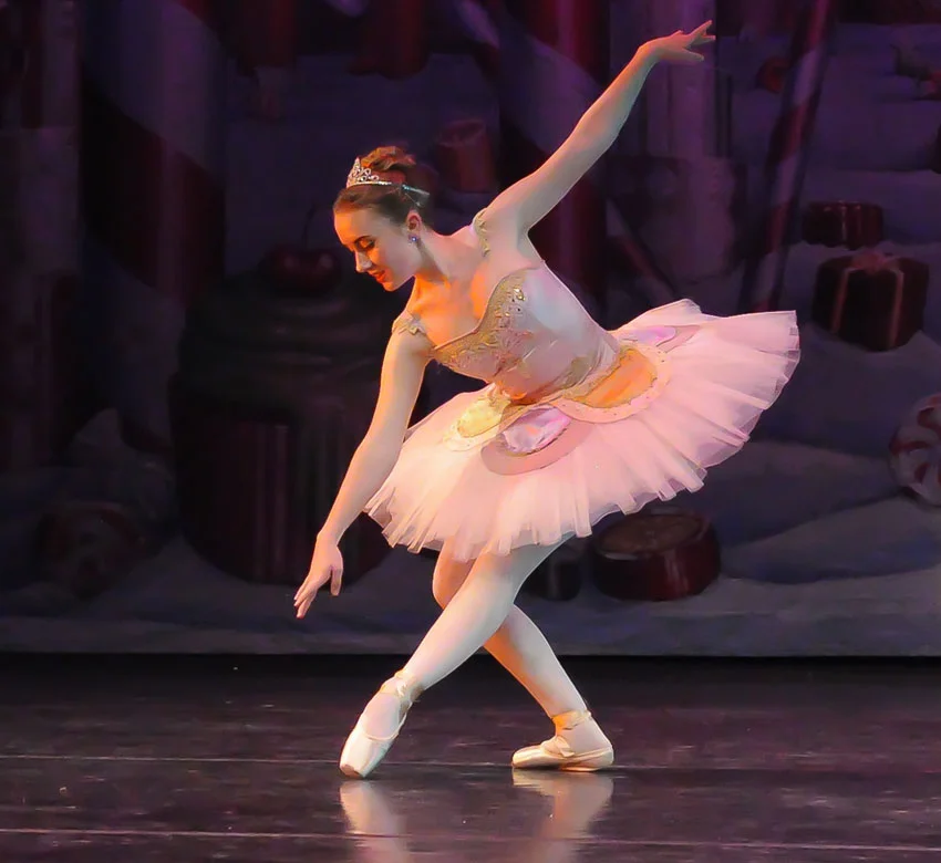Support the Arts — Join our Board