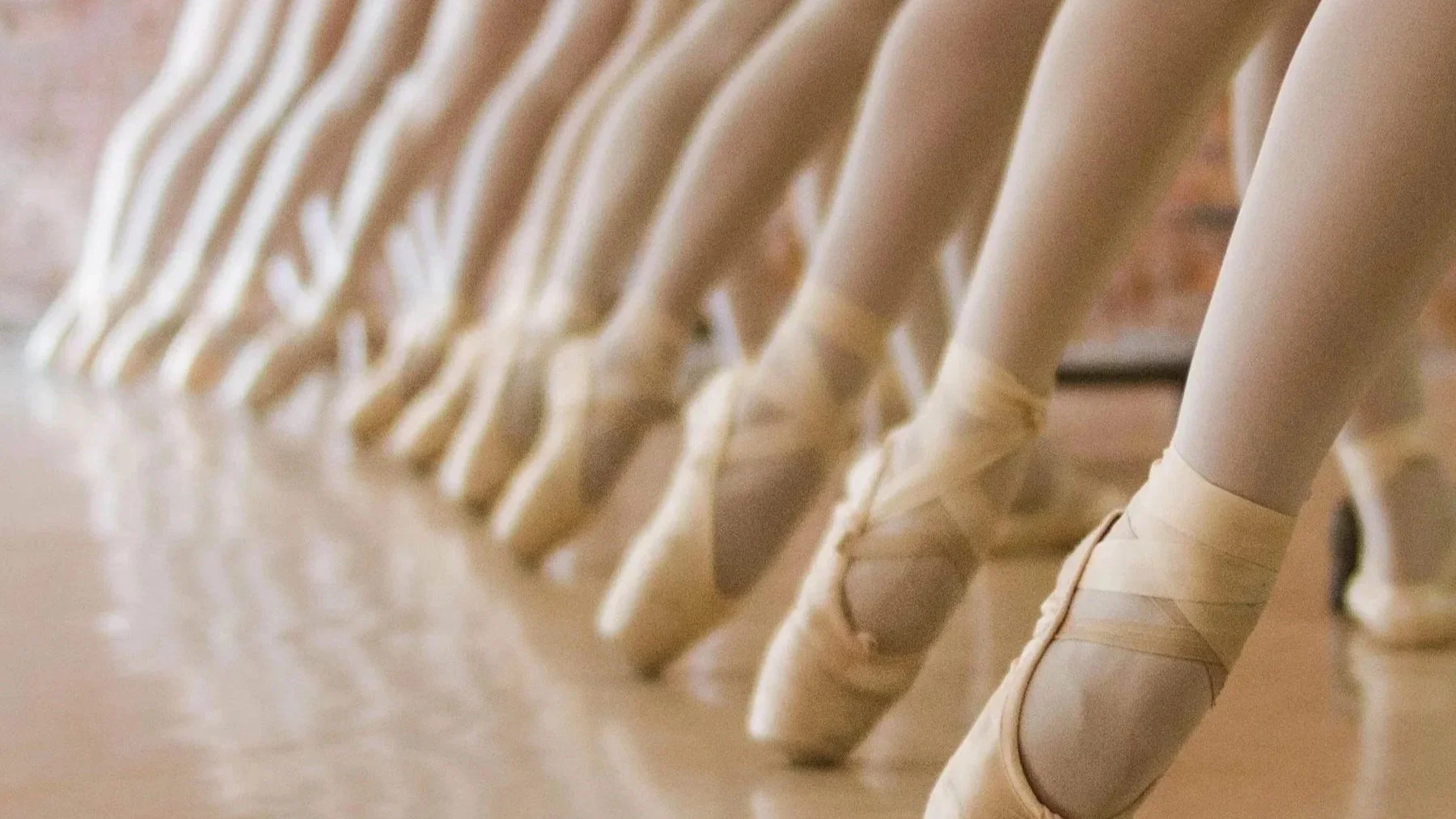 point shoes website.jpg