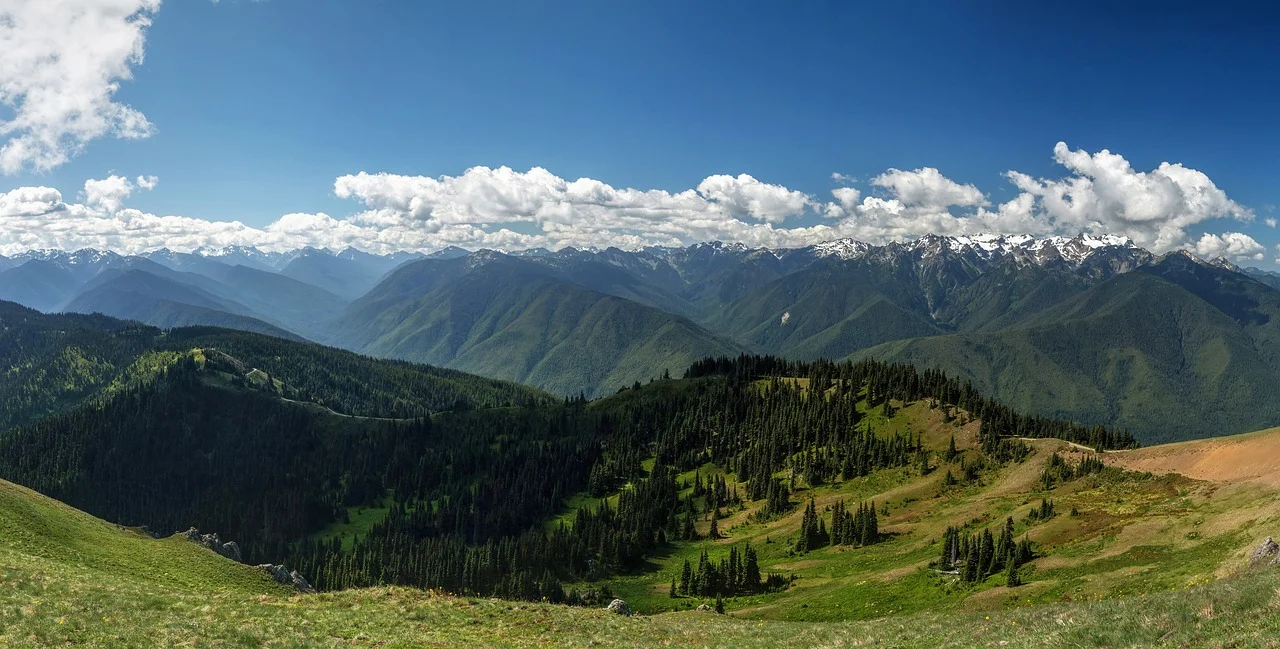 landscape-1840366_1280.jpg