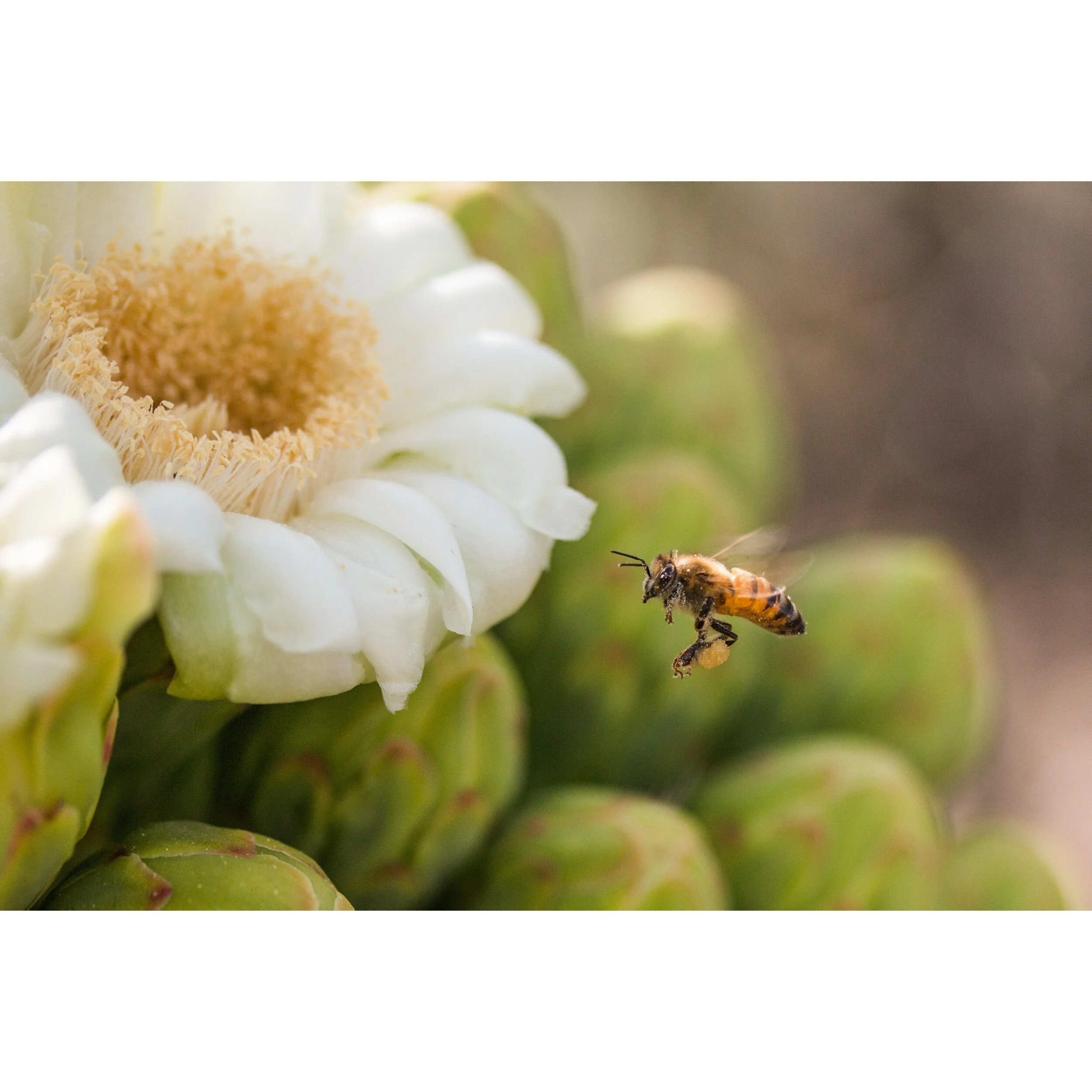 4B1FE071-CFB5-4BA3-84D4-37058DB8F947