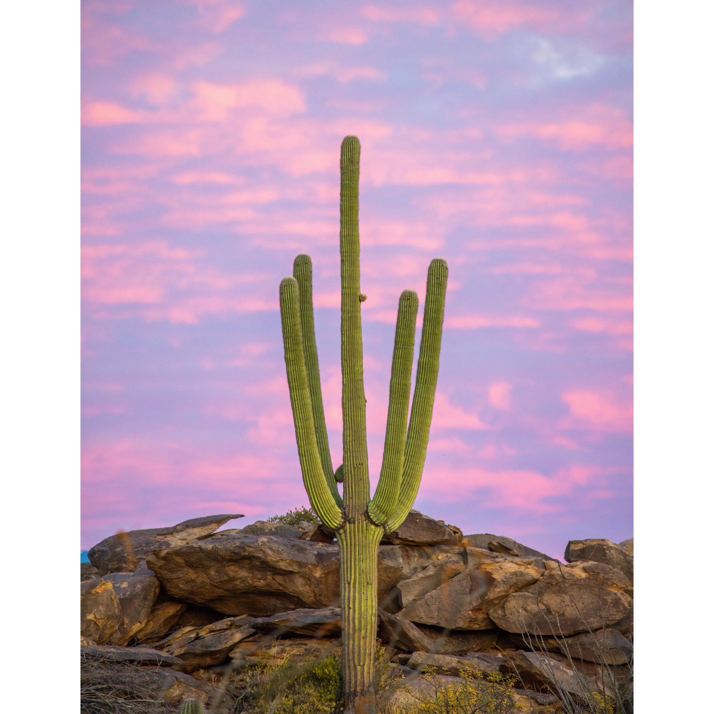 B60CFD02-F621-43B6-9F8A-53BCAD273EE1