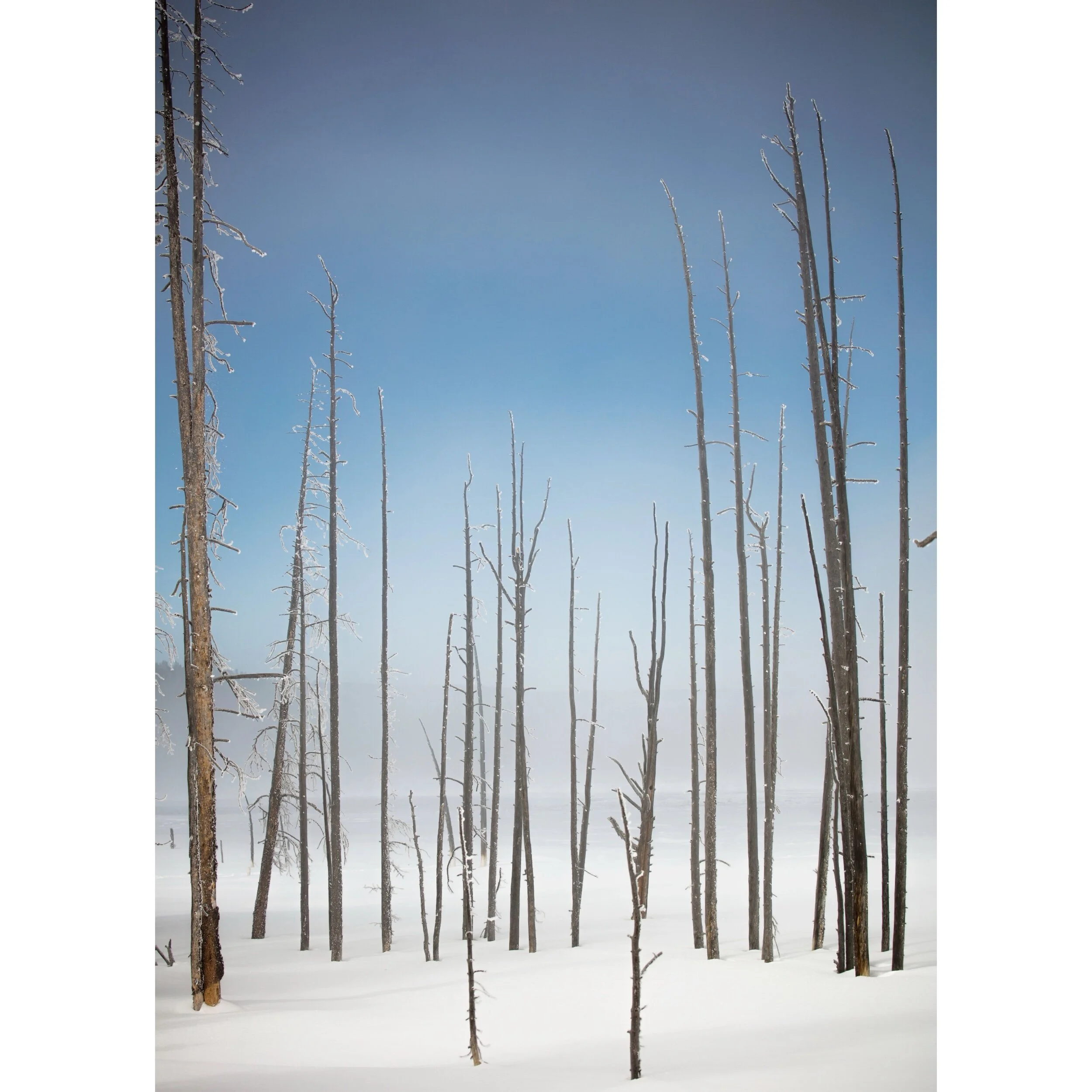 1B180893-6513-45B0-80FA-30F99CCDA86D