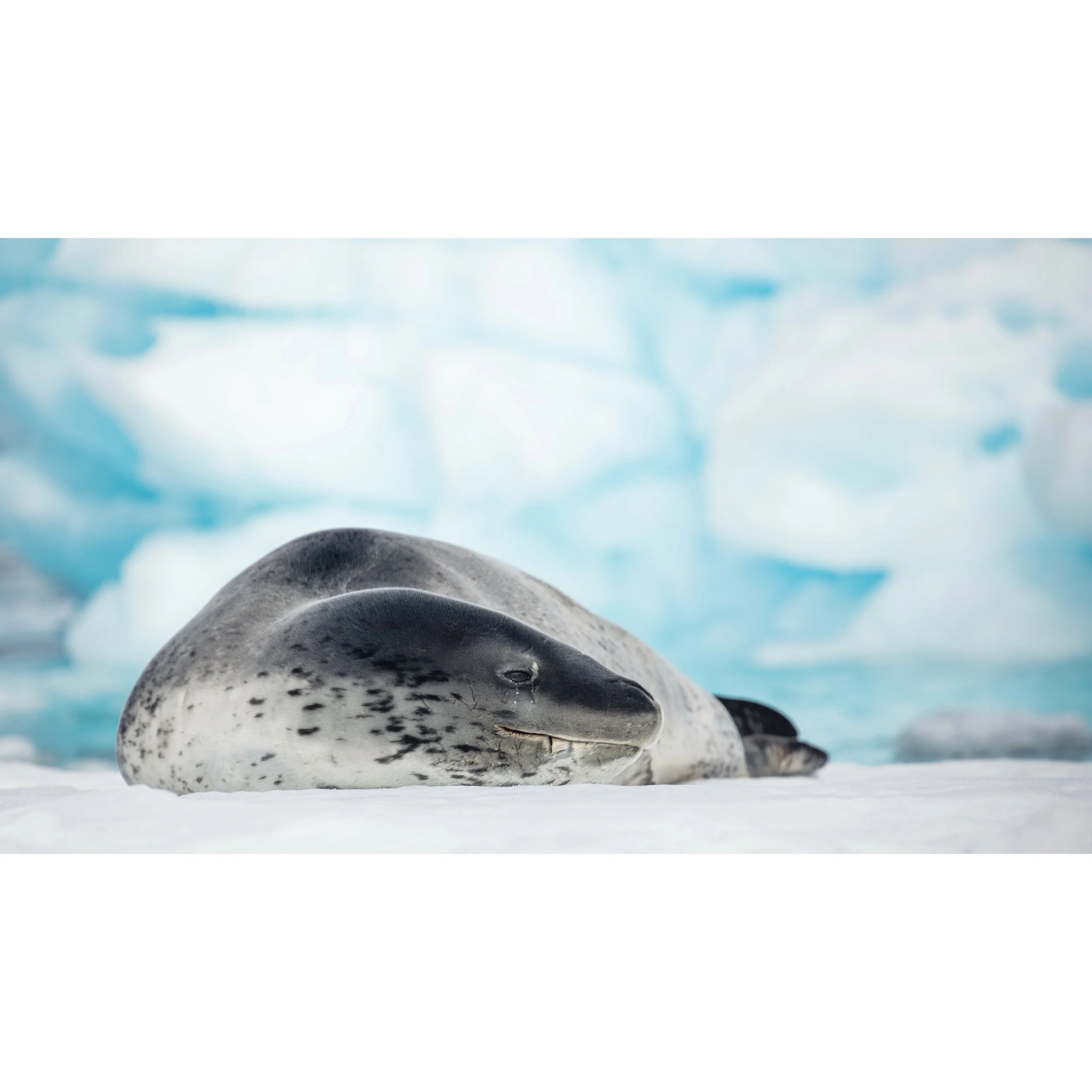 171D866B-702F-4958-A1E2-2AF07AF3129C