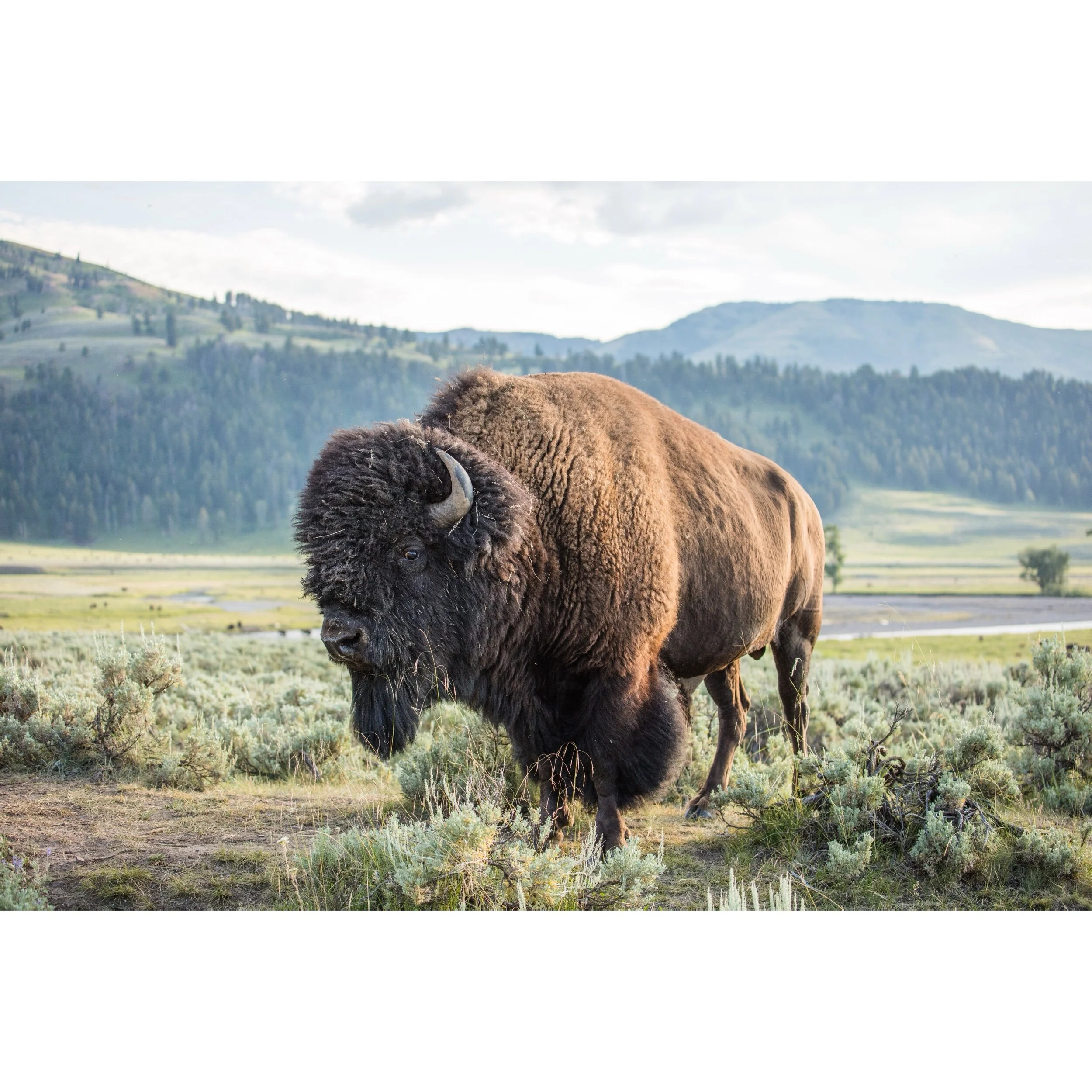 A677E176-B767-475B-A515-566476FC5F3A