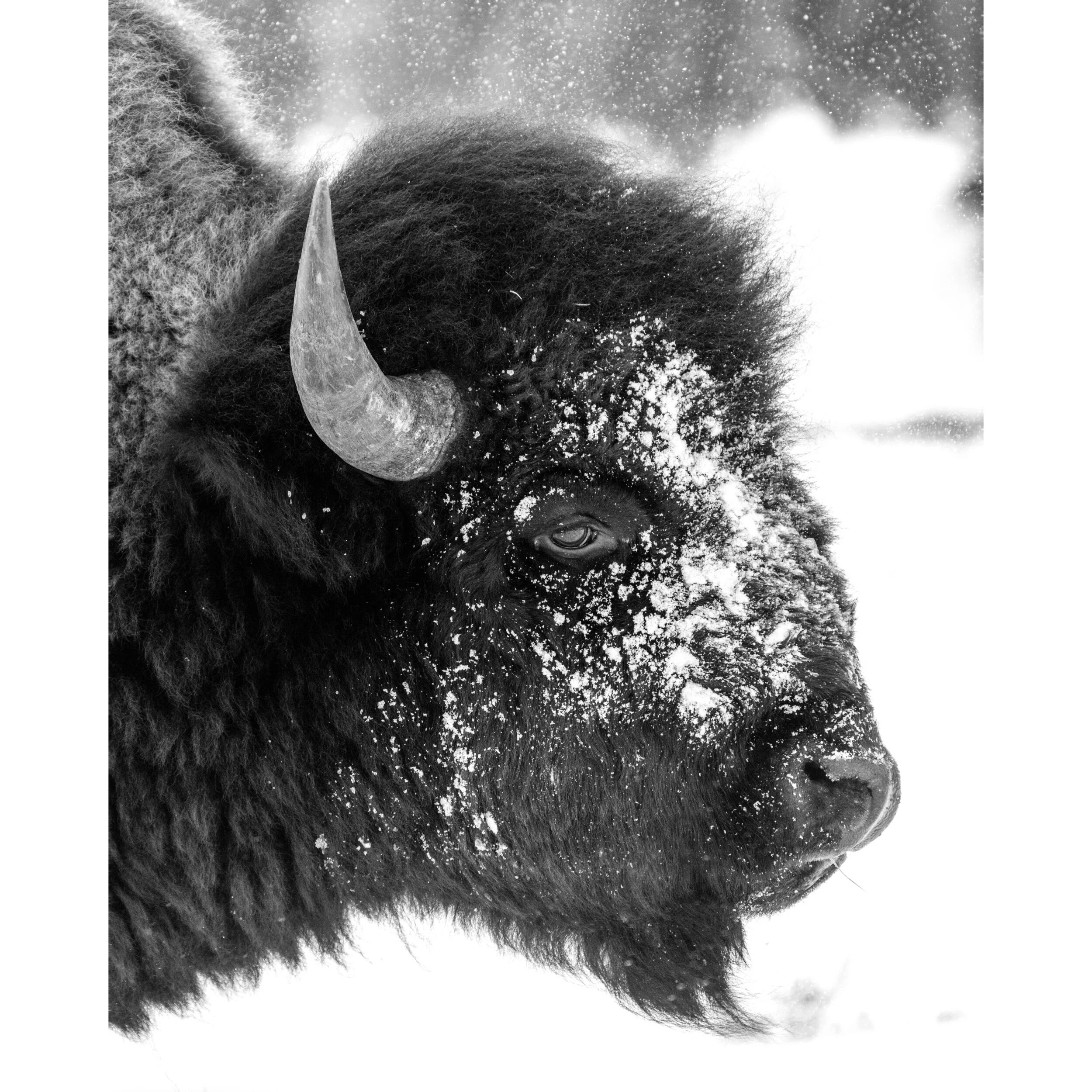 C7100DC1-FBA1-4261-828D-CF633B90C00A