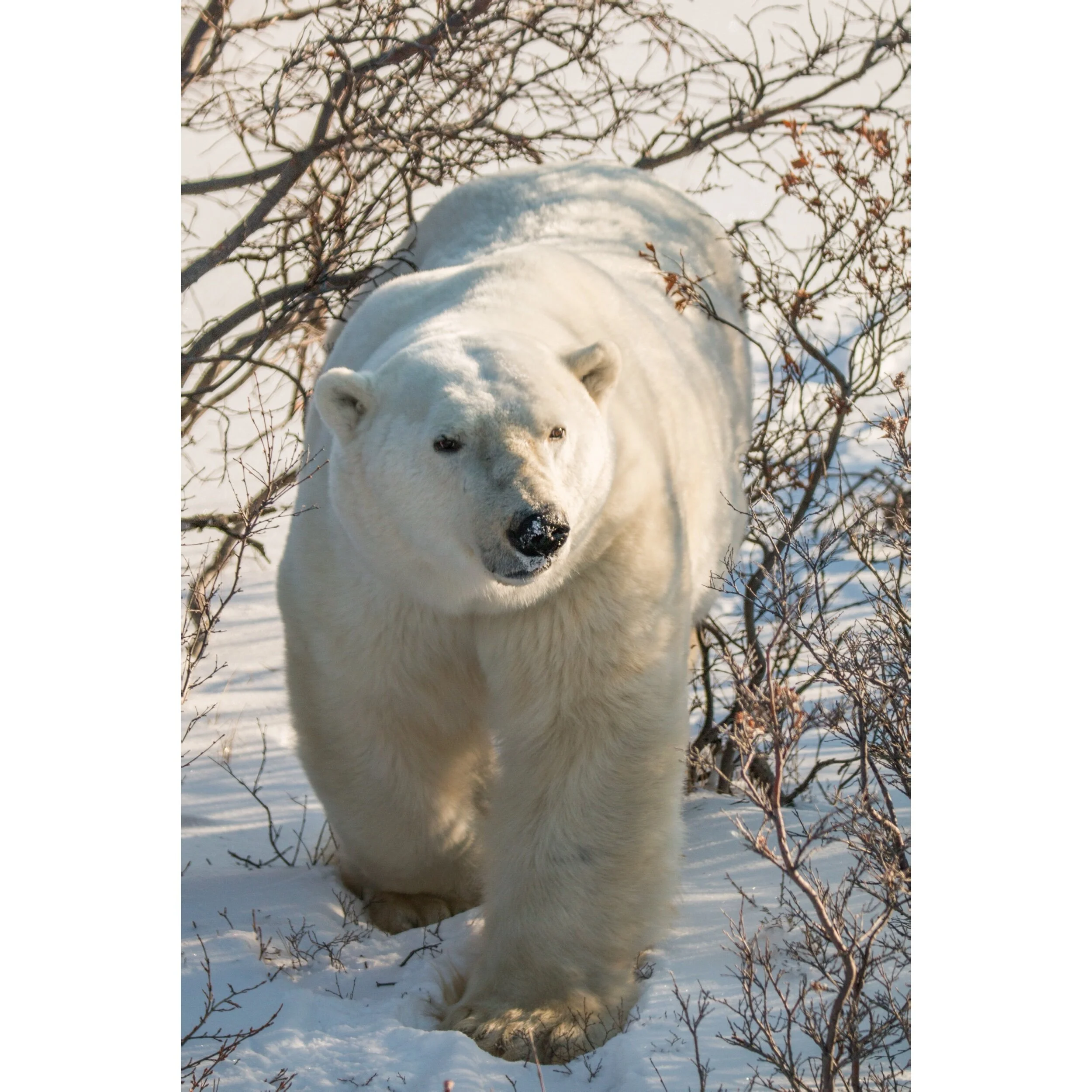 FFDE9322-DC6E-4D1A-856B-4C05B506752D