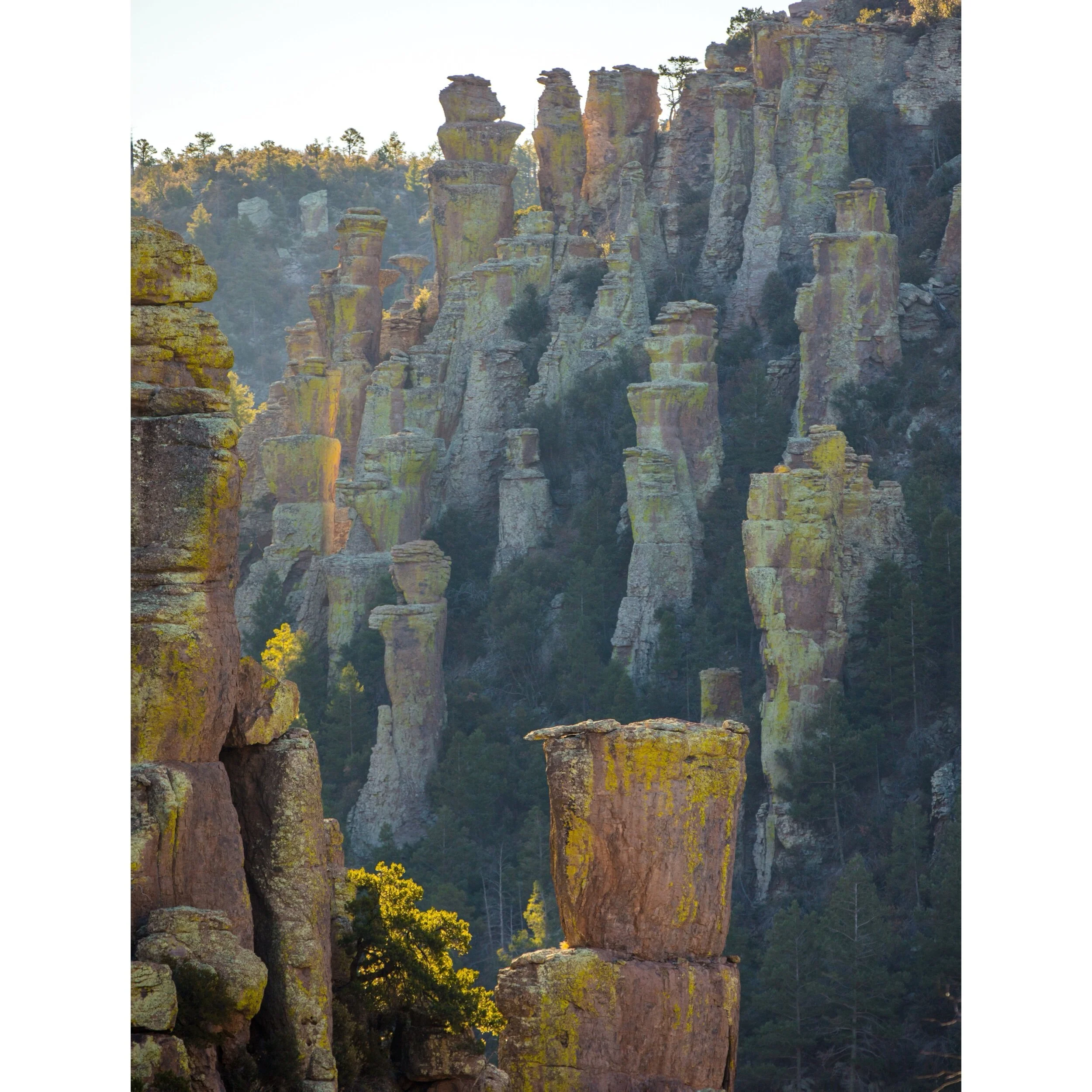 9E5428FB-5912-4DB7-A8D5-BD60EE39A87A