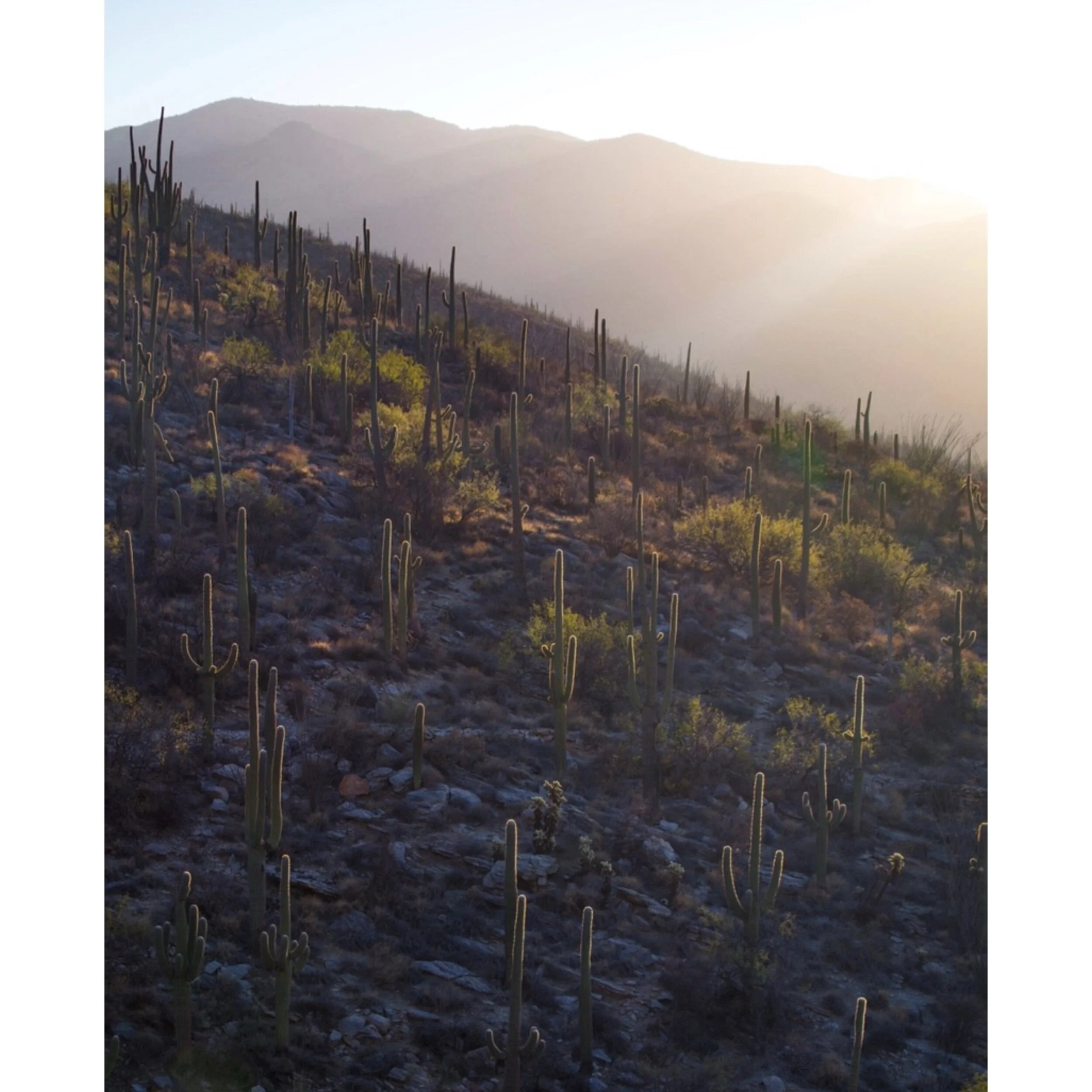 AB98E4DF-DE97-43D7-B045-4D6264F195B7