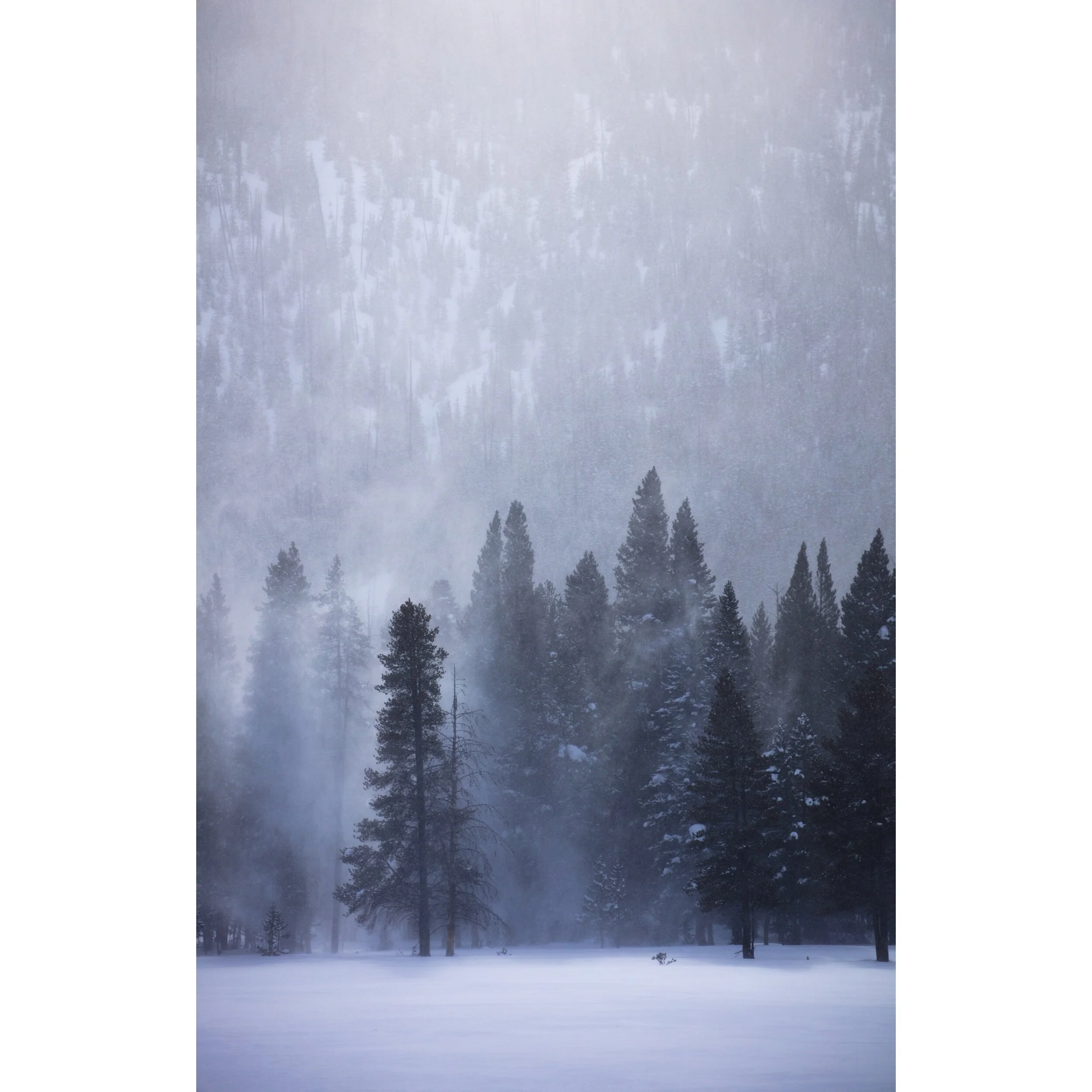 6CCF3438-92CE-4CFE-AF8B-1E31436CB532