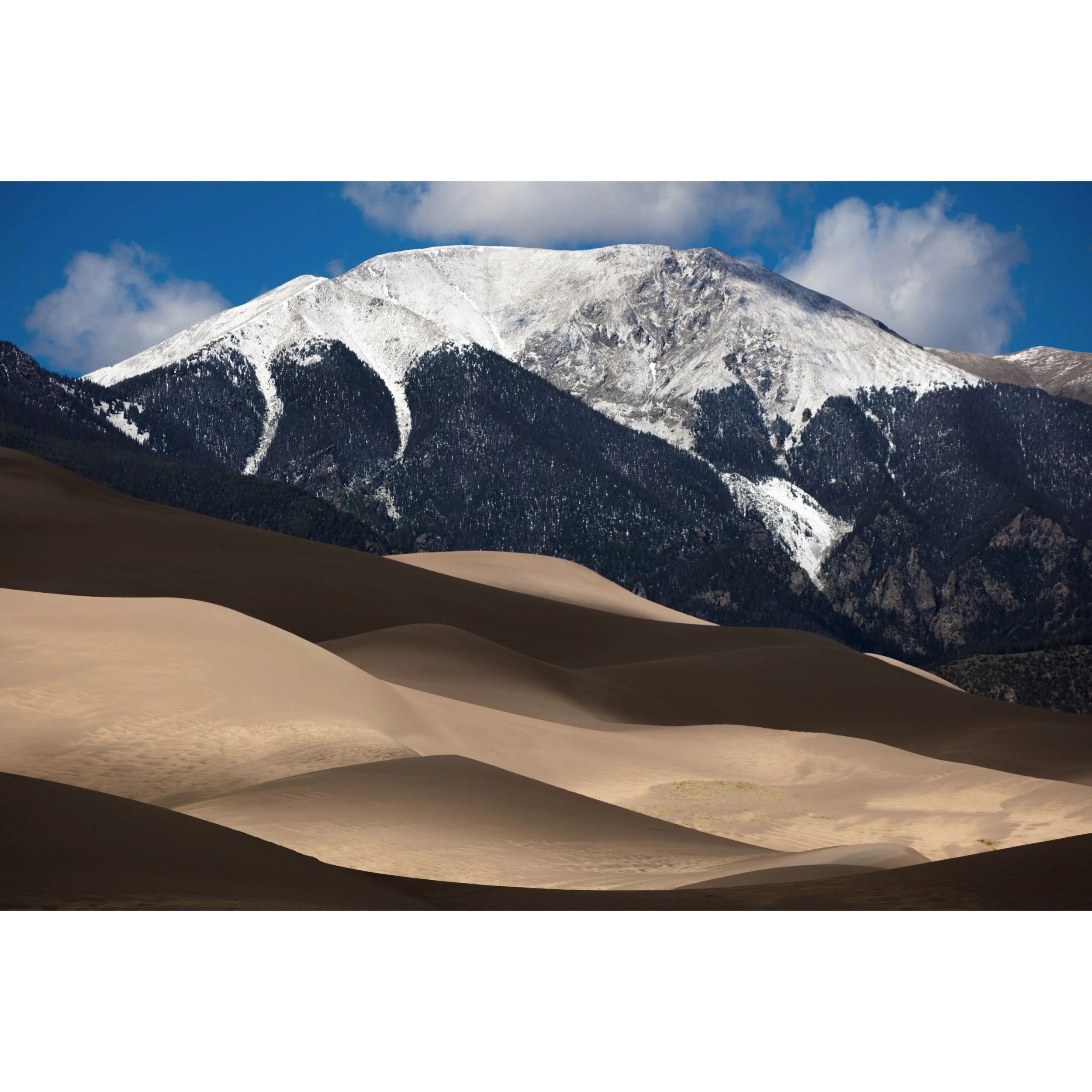 B4B93CA8-CB9C-4E64-95DA-0844DA629587