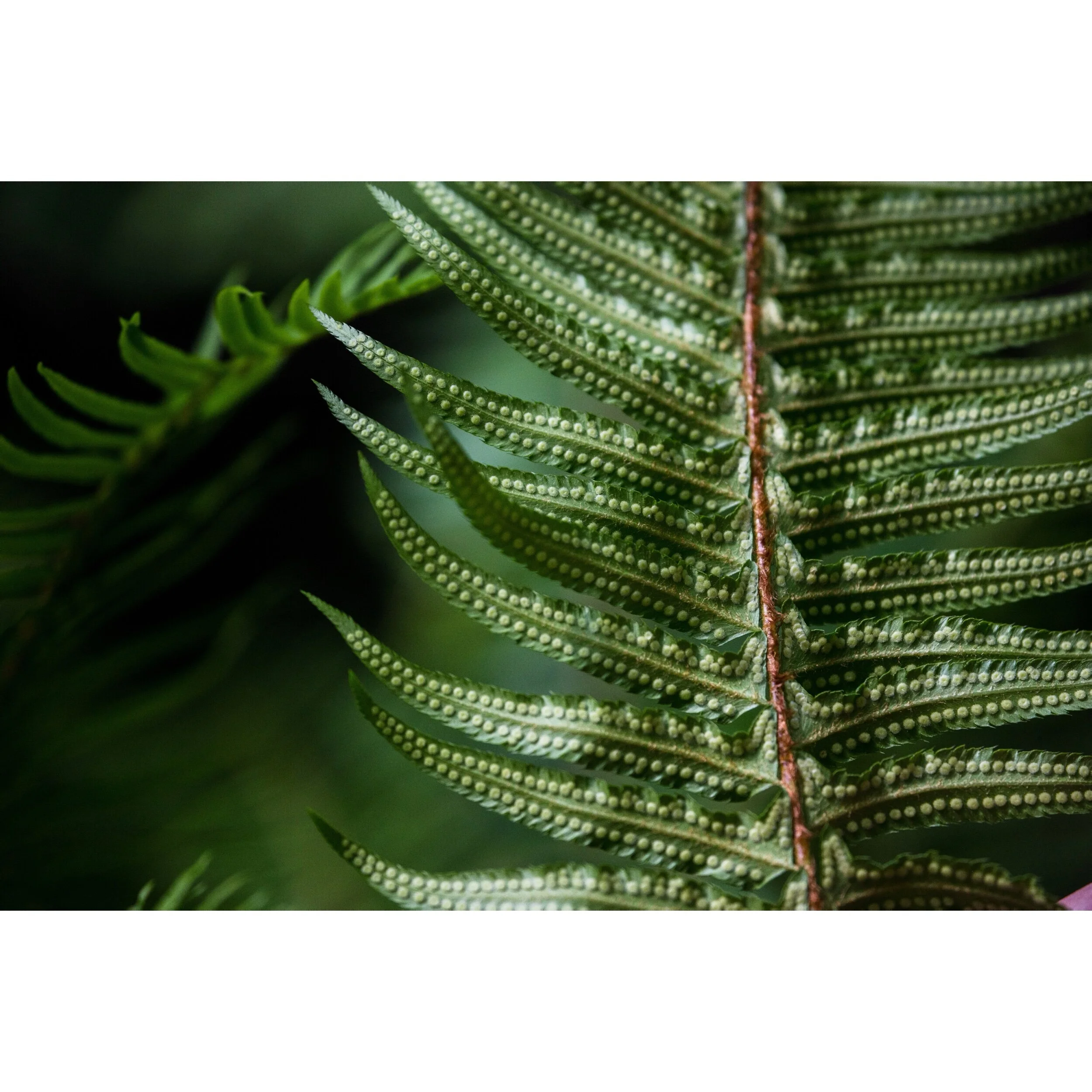 BC581A97-DA0F-4A8C-898B-F79CBE4AF4B5