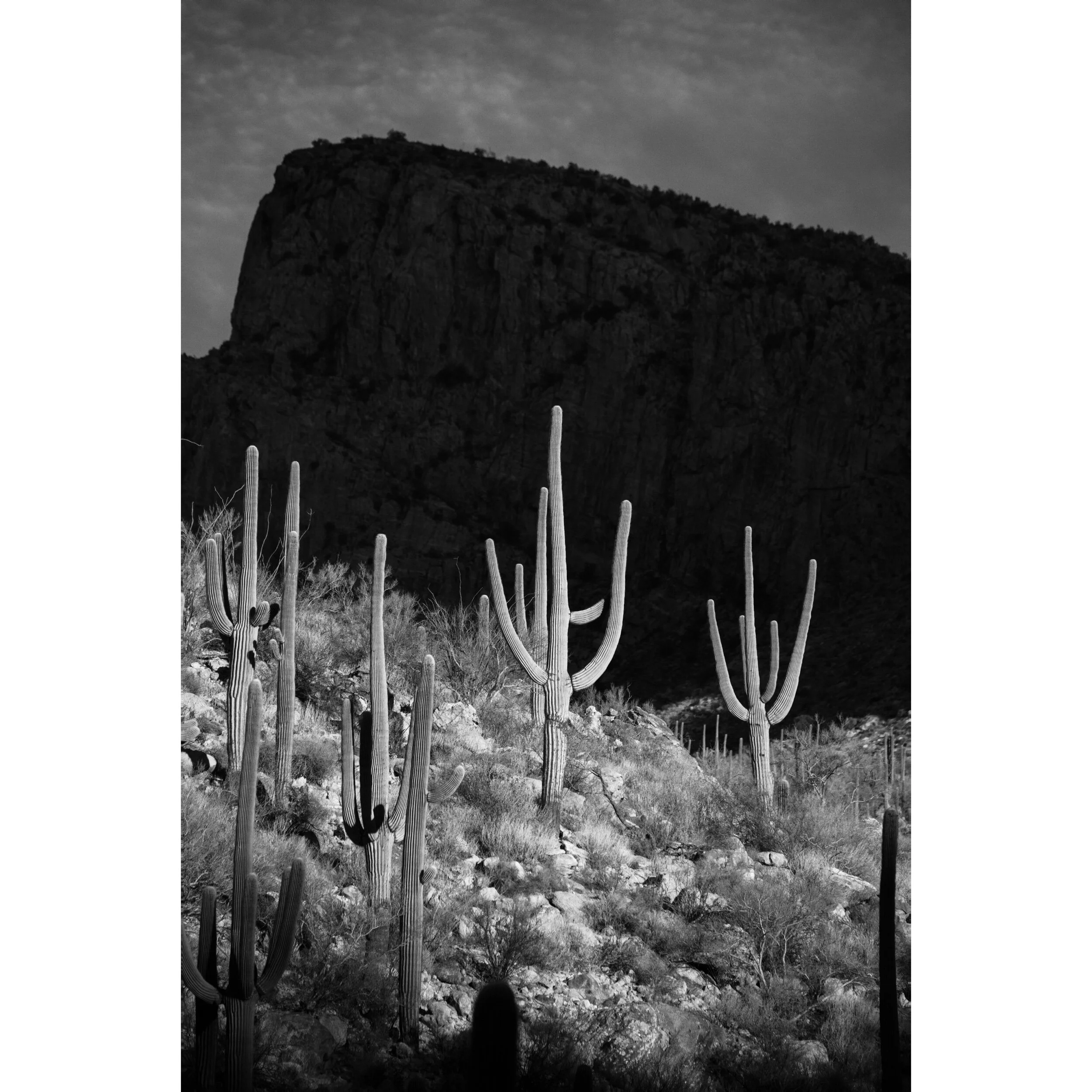 391DB4BE-8DE9-4329-AE45-C491E642765A