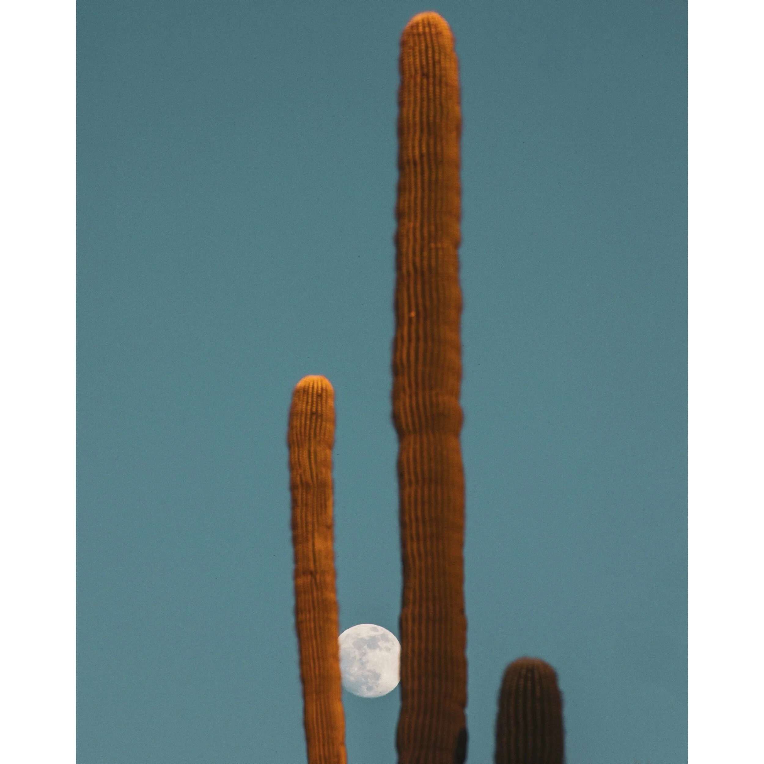 EB21E182-FB67-4E6F-A914-0F3DA86170CB