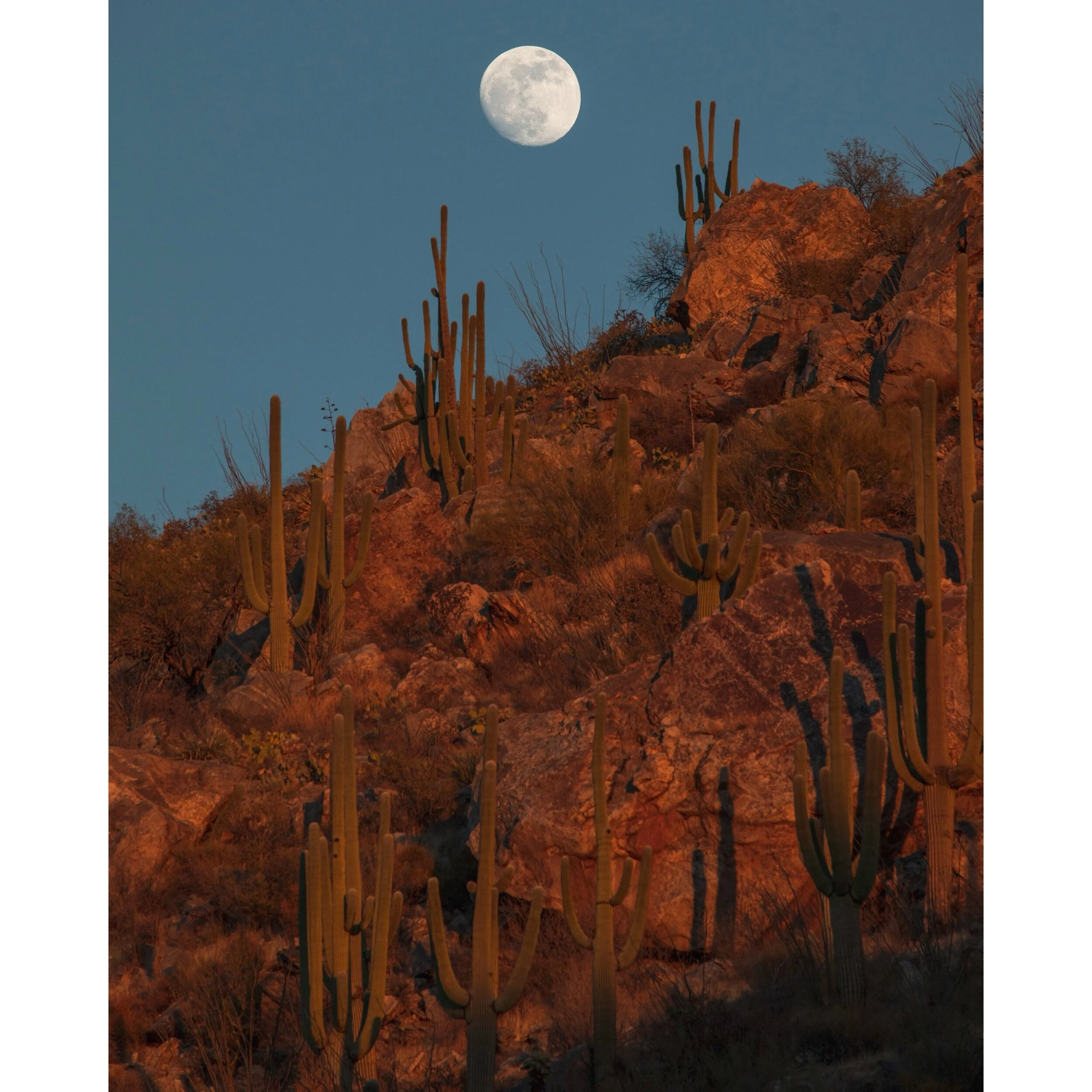 7867B12F-884F-4656-A9EF-3C6A199205C1