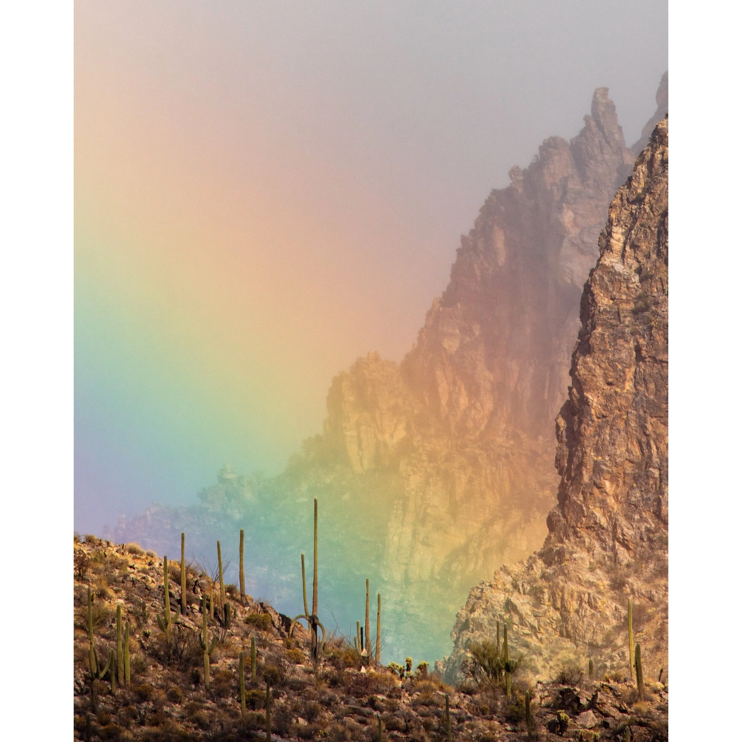 C7068C0C-0949-402A-8E9C-4E02A9A4FAD1