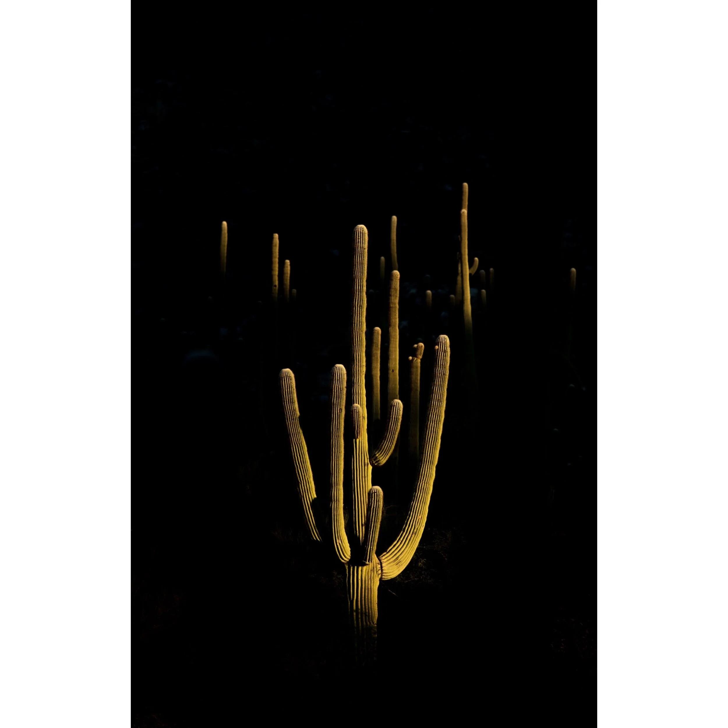 67D200E3-21E6-4C9C-93A5-E05692CC1113