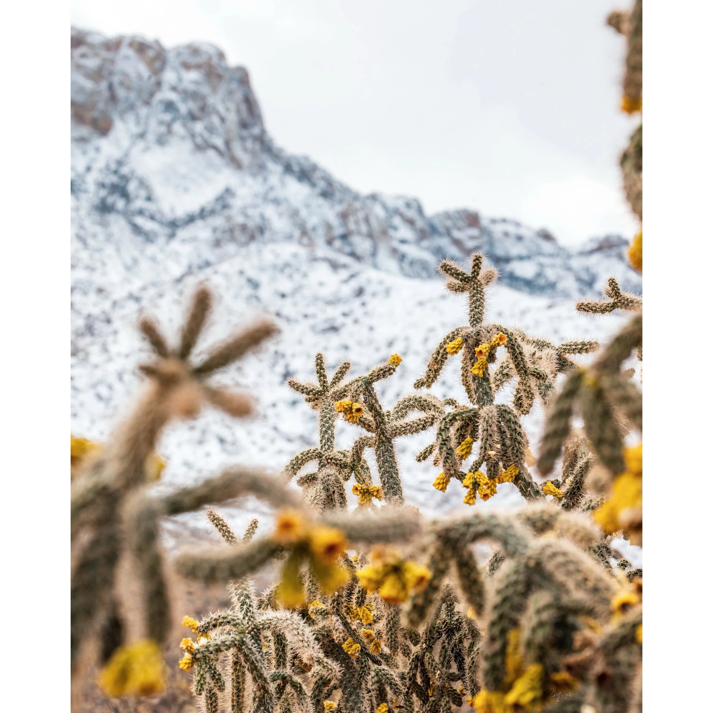 FE1AAB3C-D9F8-42F6-A3C5-F5BCD41C1DB3