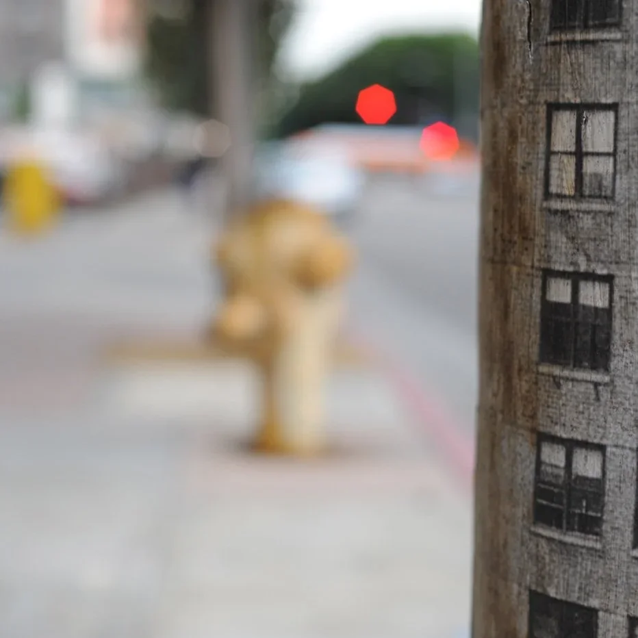 Fig + Bartlett