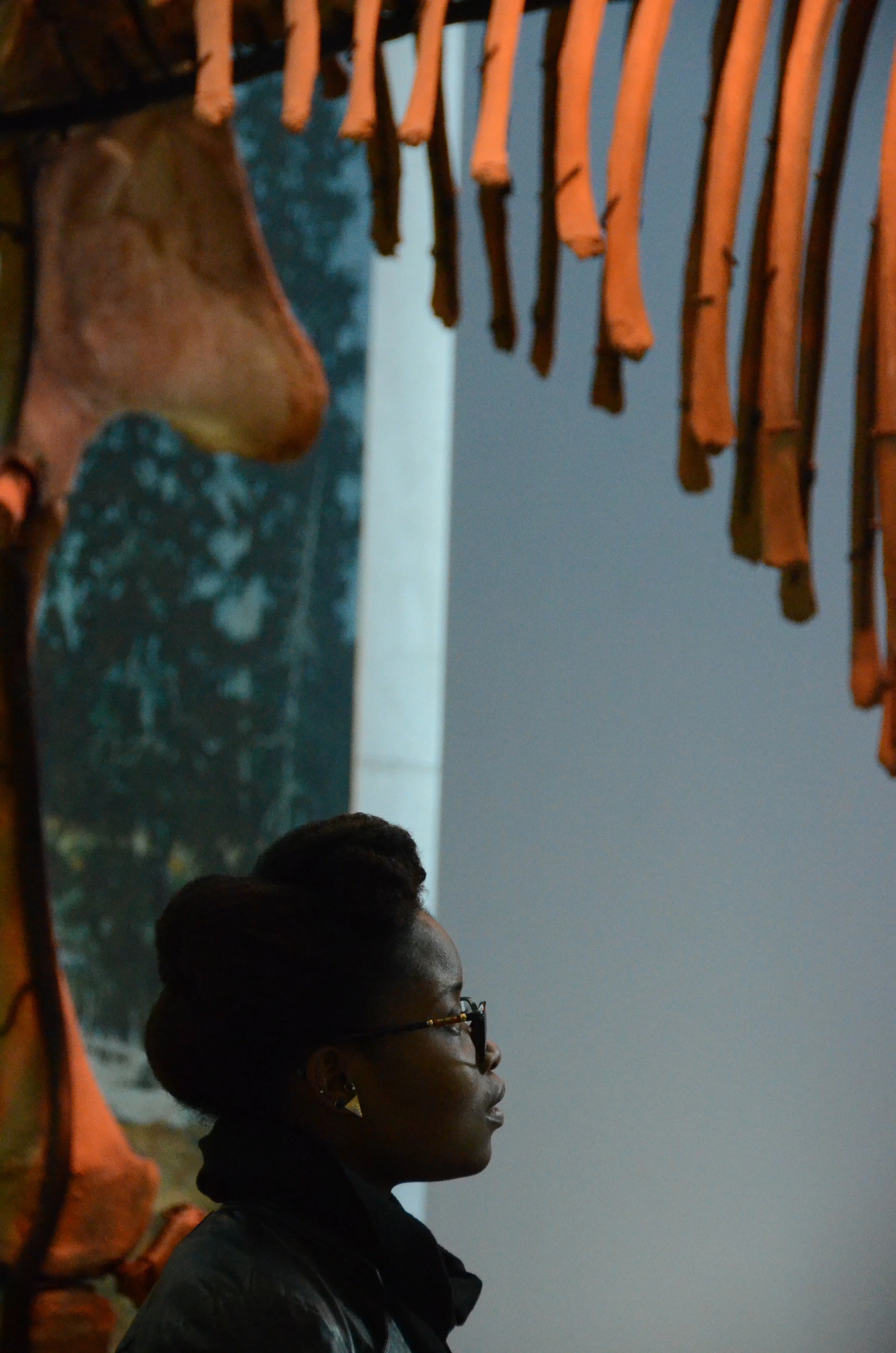 Student Araya ('15) explores the Museum of the Earth
