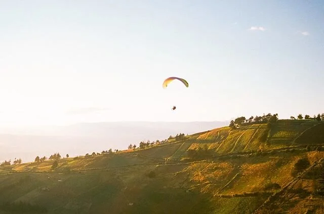 Hey is this the color of optimism?

made with @kodak and @bluemoonphotolab