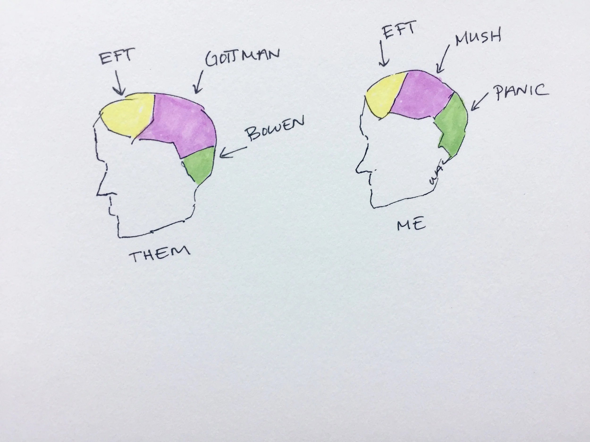 EFt Brain