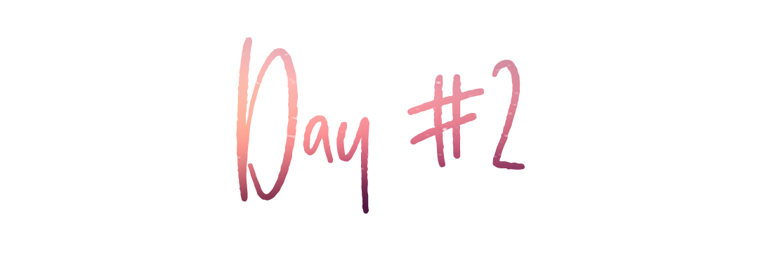day 2.png