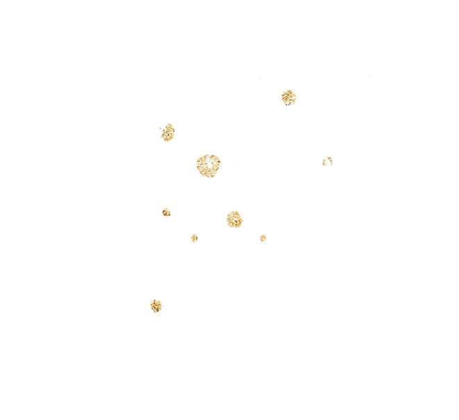 png (1).png