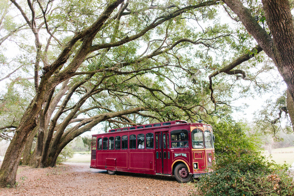 charleston tea plantation wedding-65.jpg