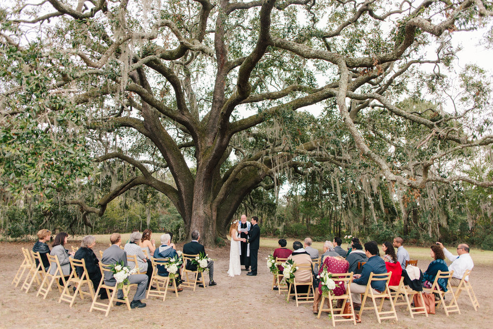 charleston tea plantation wedding-74.jpg