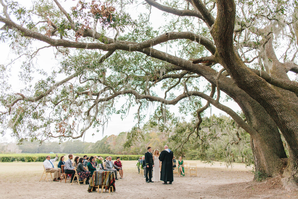 charleston tea plantation wedding-77.jpg