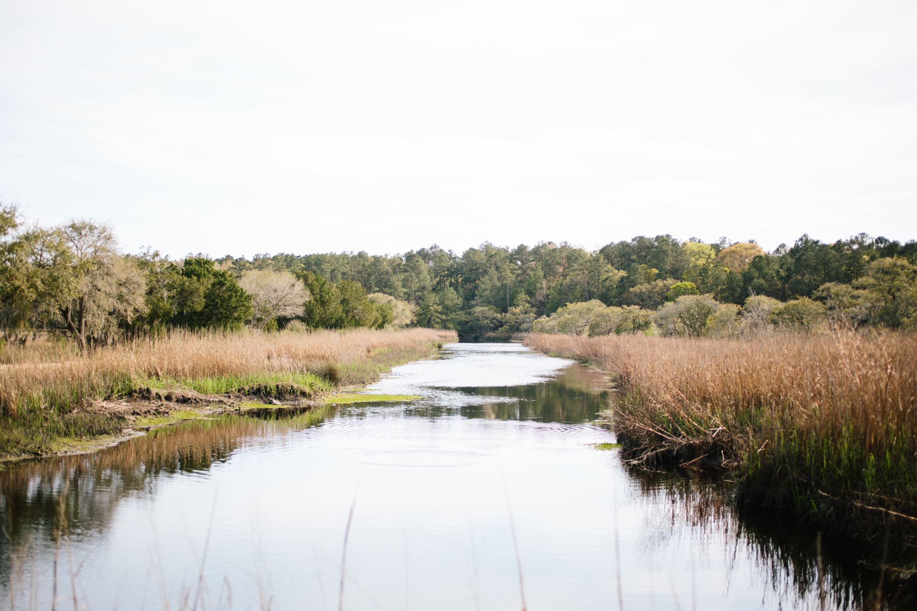 charleston march WEB-90.jpg