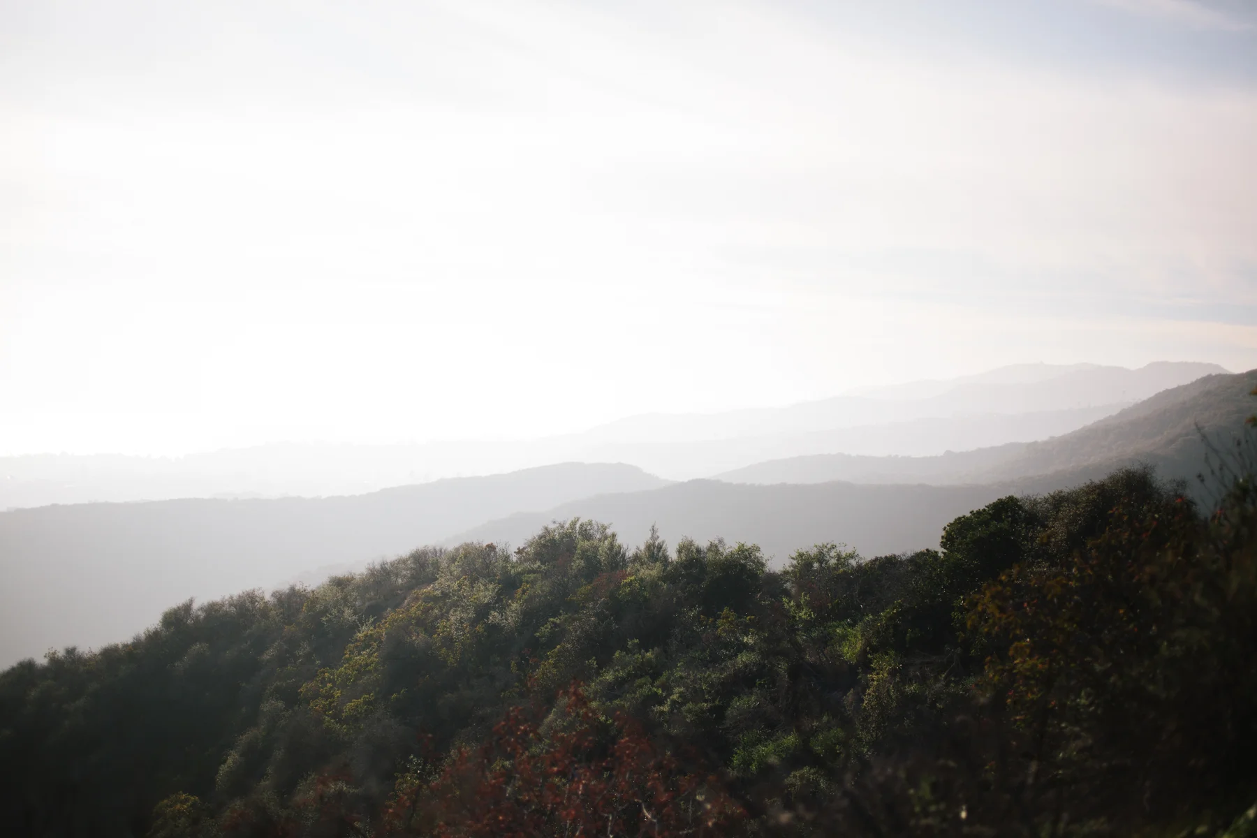 california-62.jpg