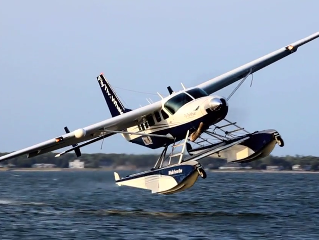 Fly the Whale