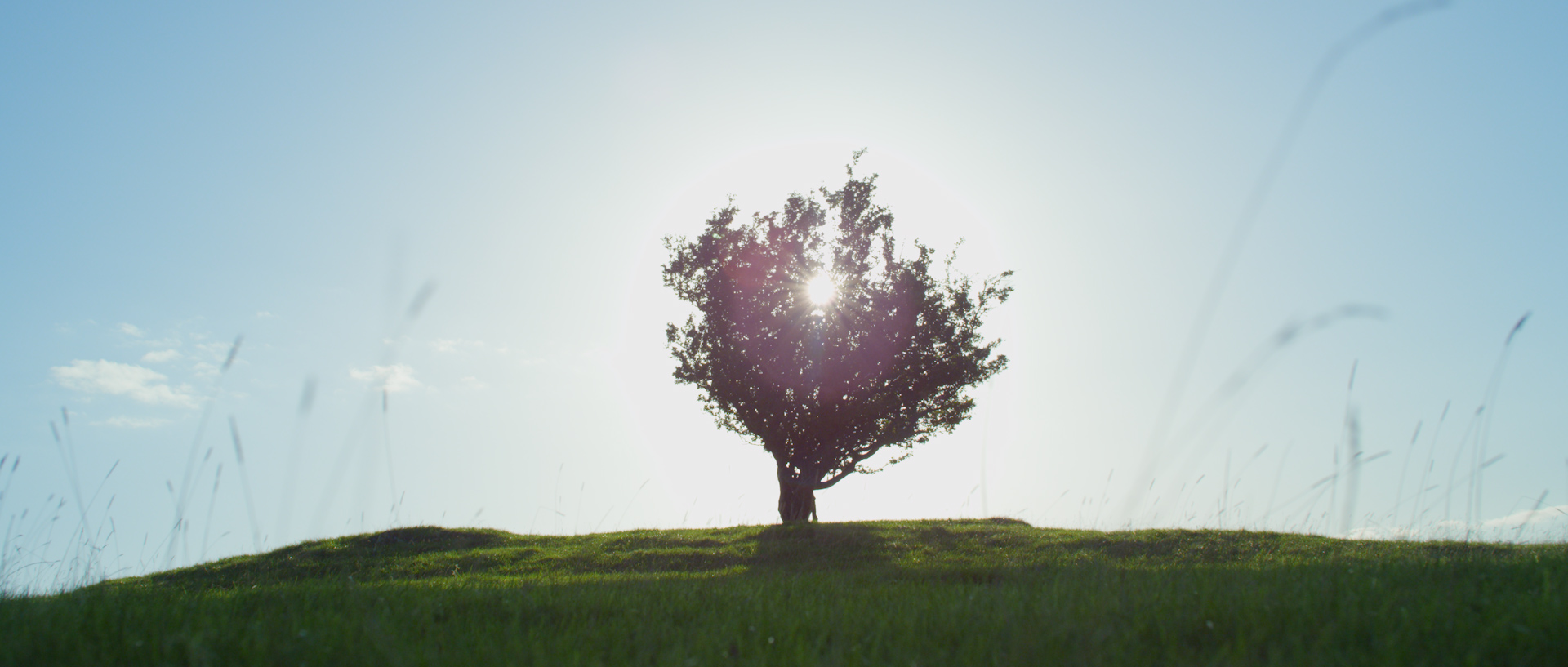 DIRECTORS CUT.00_00_03_19.Still004.jpg