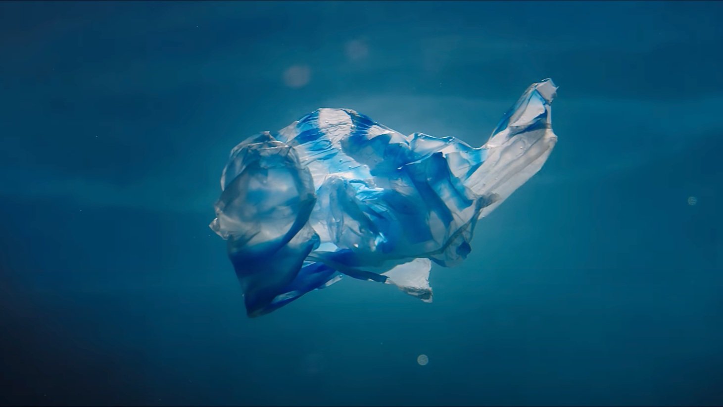 Greenpeace | Oceans of the future