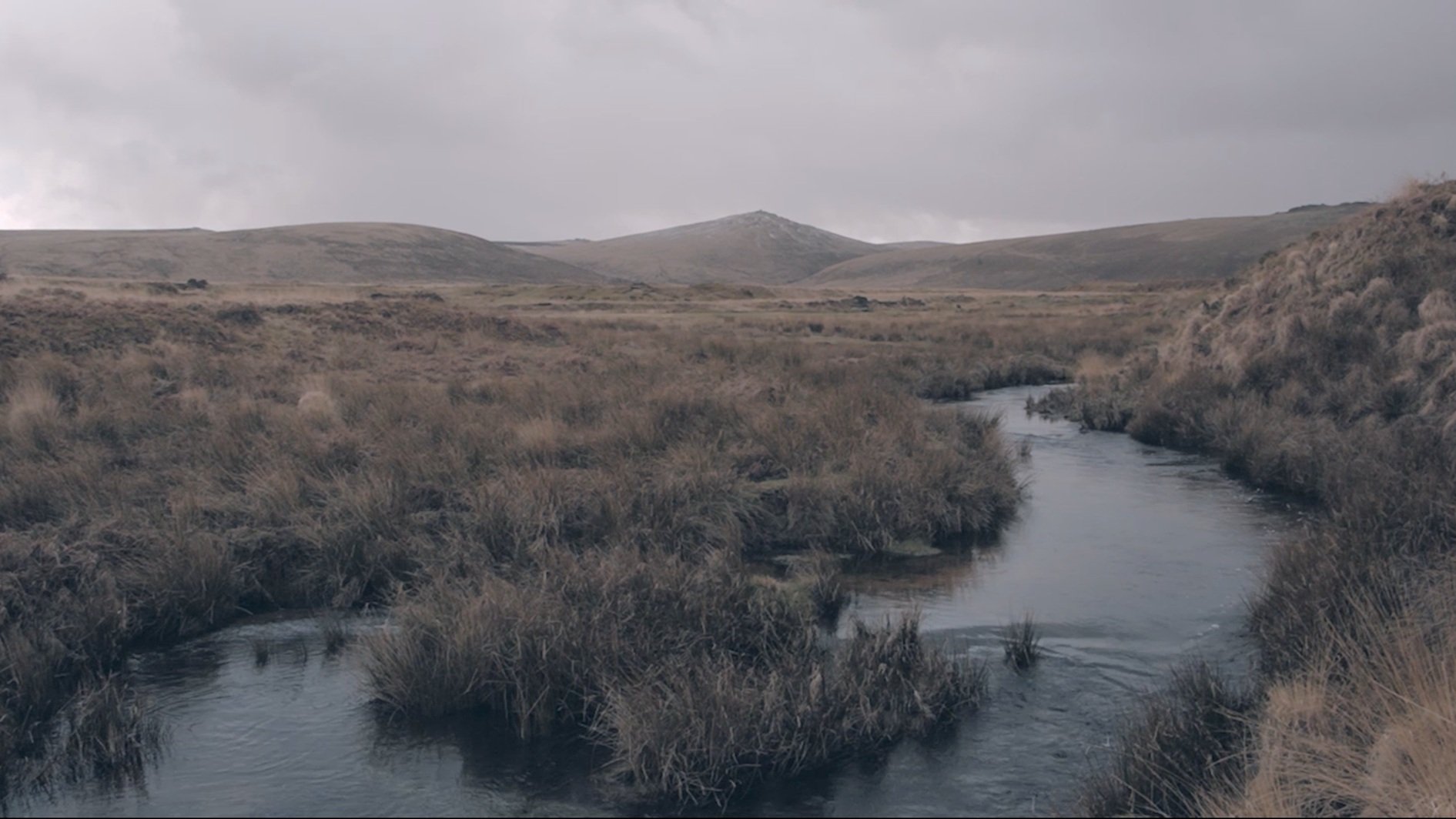 Short Film | The Wet Desert