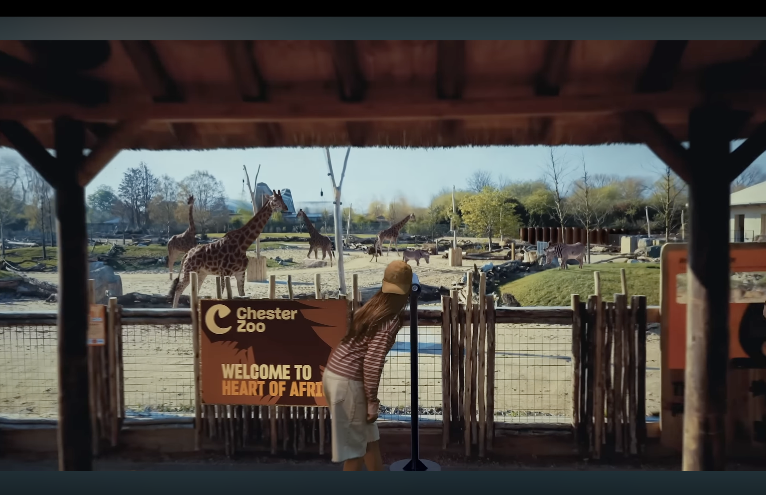 Chester Zoo TVC | Endless Adventures