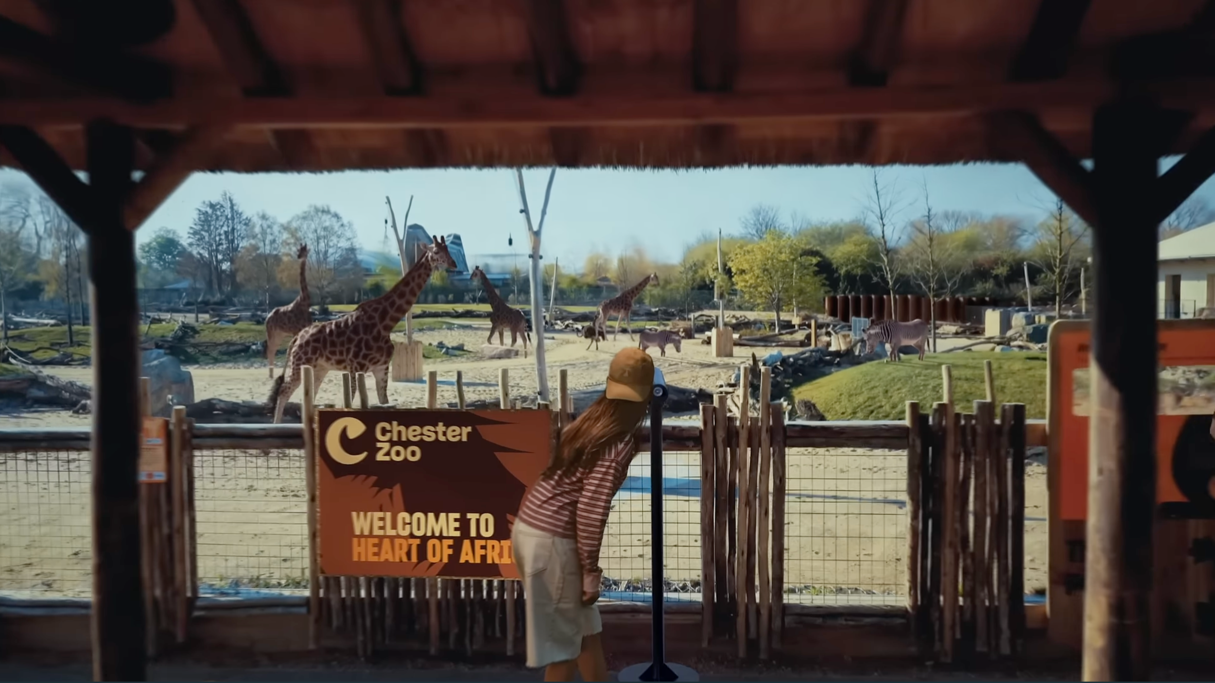 Chester Zoo TVC | Endless Adventures