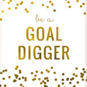 Goal Digger.jpg