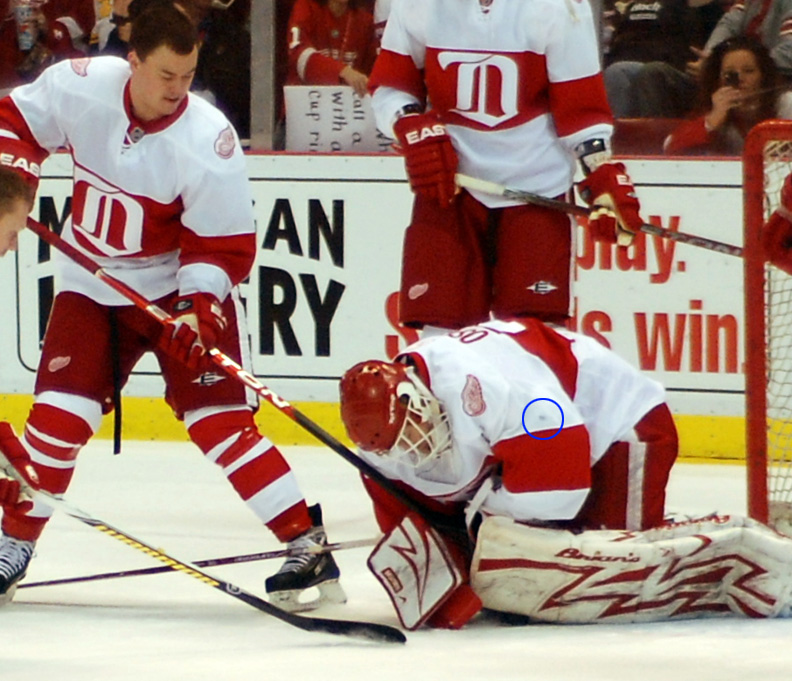 Detroit Red Wings goalie Chris Osgood skates during warm ups at