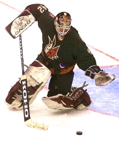 Robert Esche Coyotes Alt — Game Worn Goalie Jerseys